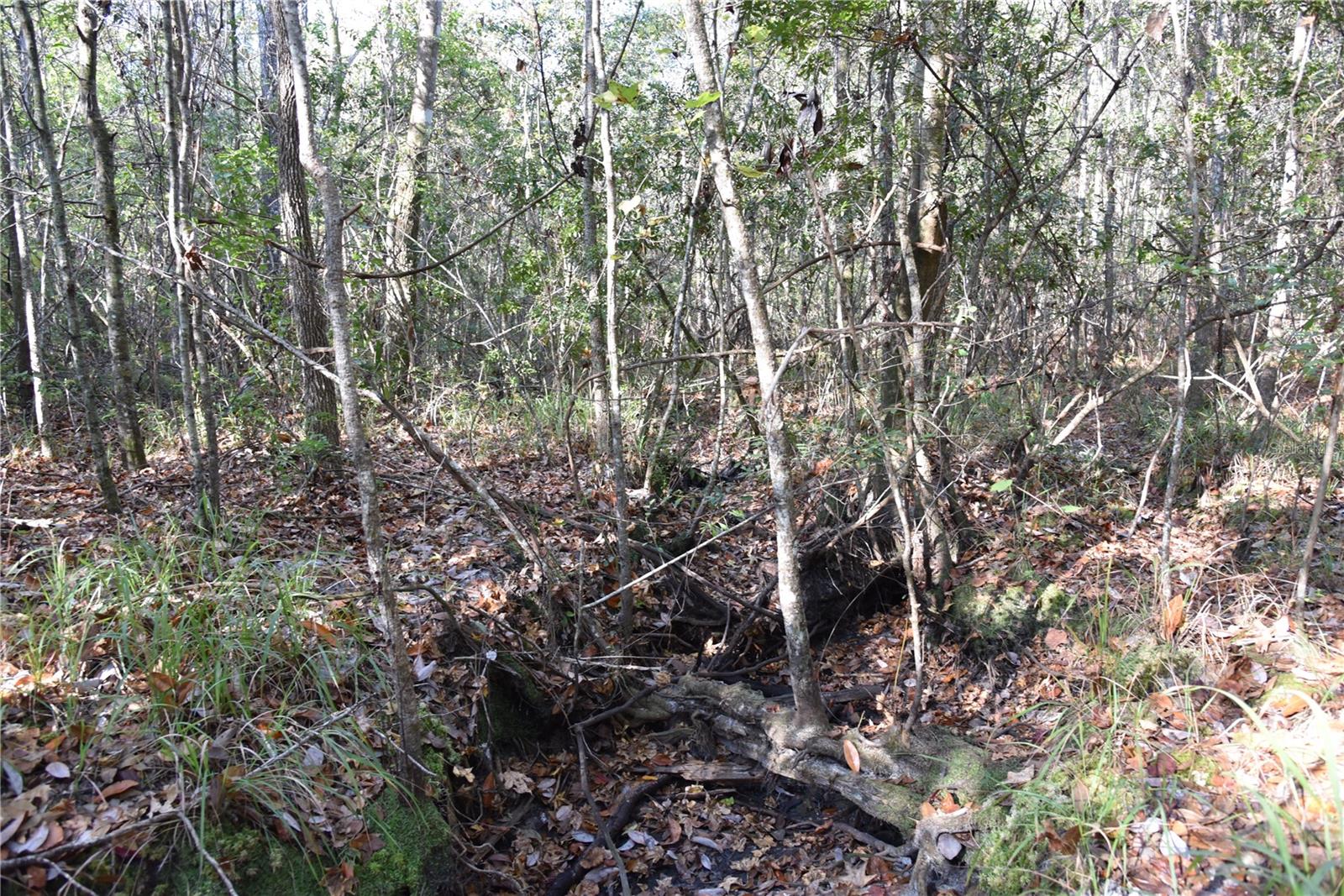 Image 28 of 57 For 81 Clouds Ave