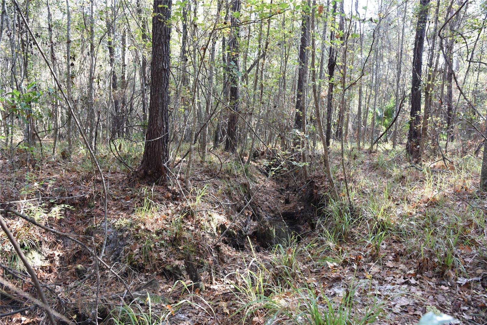 Image 29 of 57 For 81 Clouds Ave