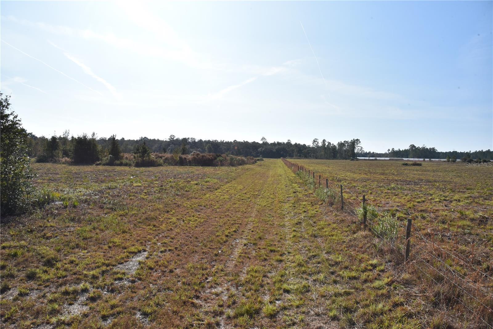 Image 3 of 57 For 81 Clouds Ave