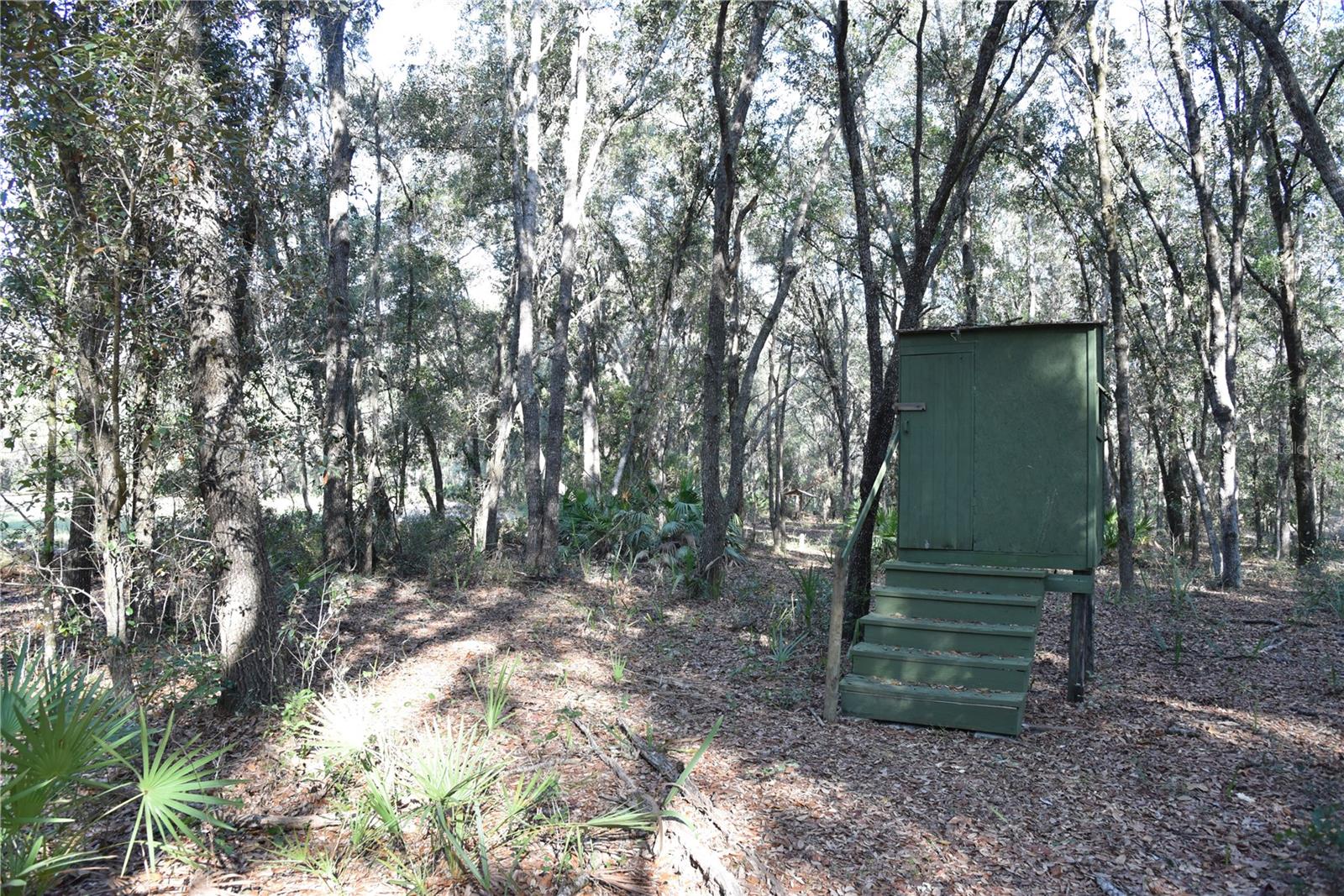 Image 30 of 57 For 81 Clouds Ave