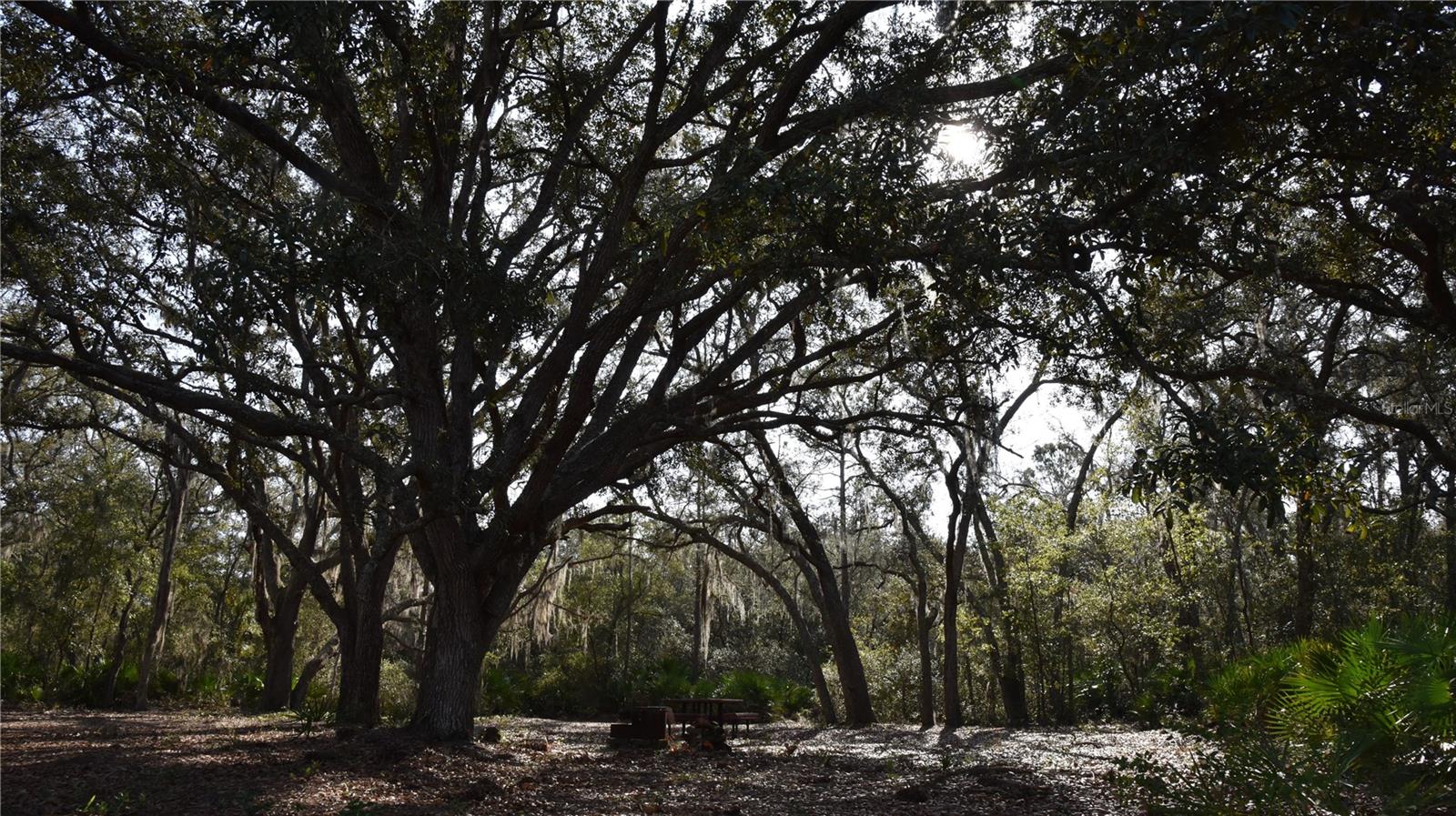 Image 31 of 57 For 81 Clouds Ave