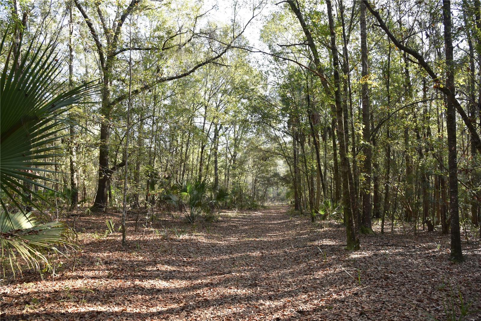 Image 32 of 57 For 81 Clouds Ave