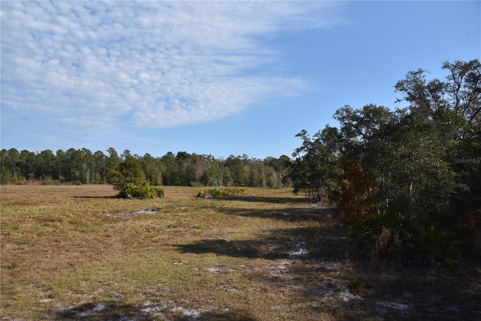 Image 35 of 57 For 81 Clouds Ave