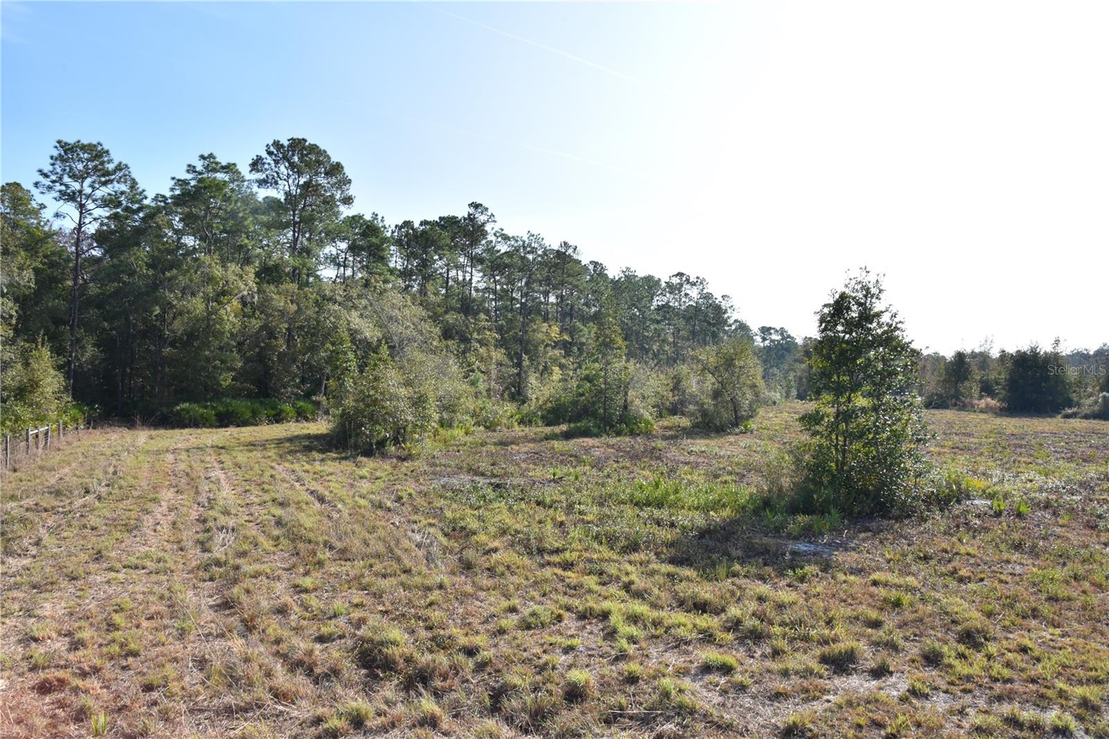 Image 36 of 57 For 81 Clouds Ave