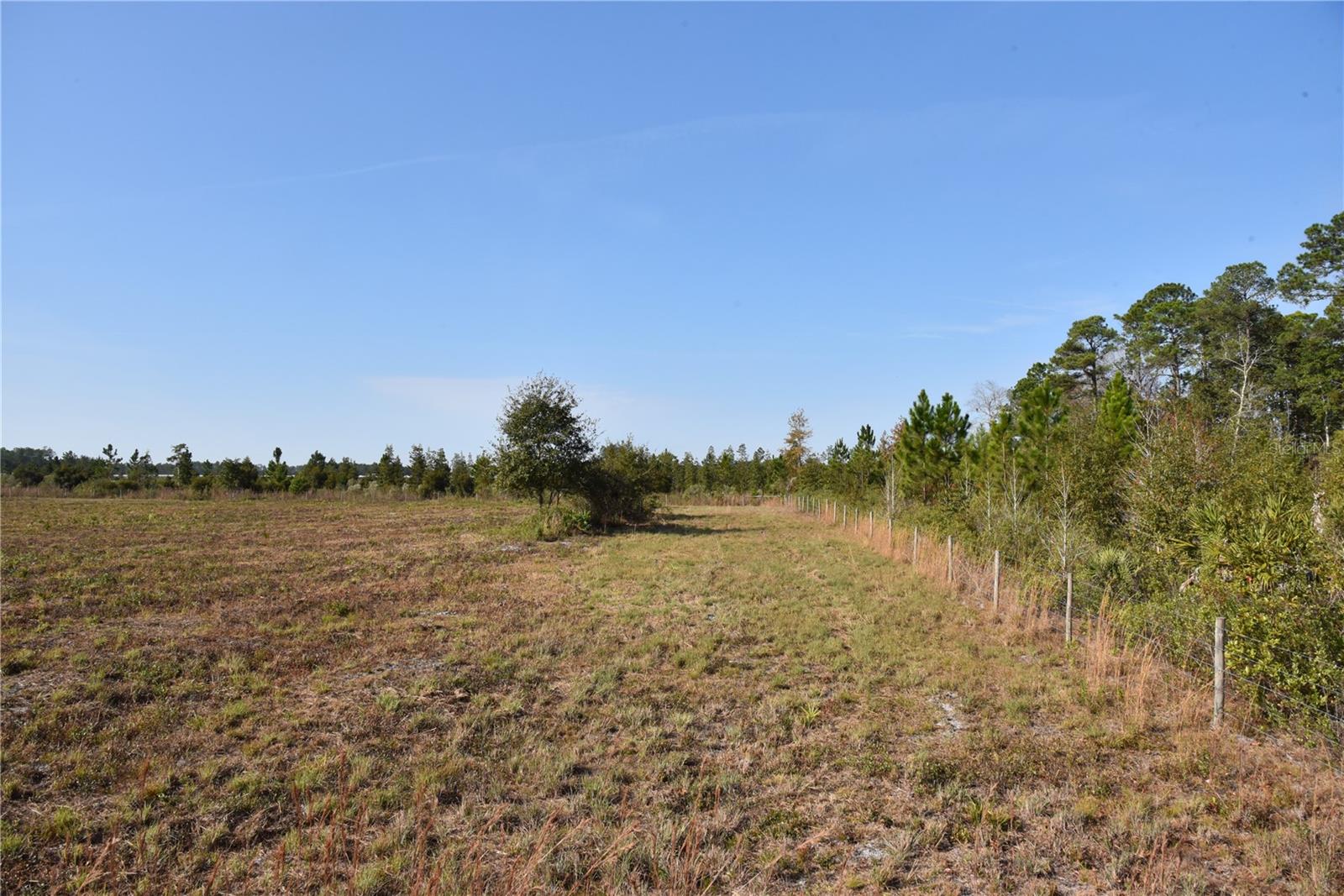 Image 37 of 57 For 81 Clouds Ave