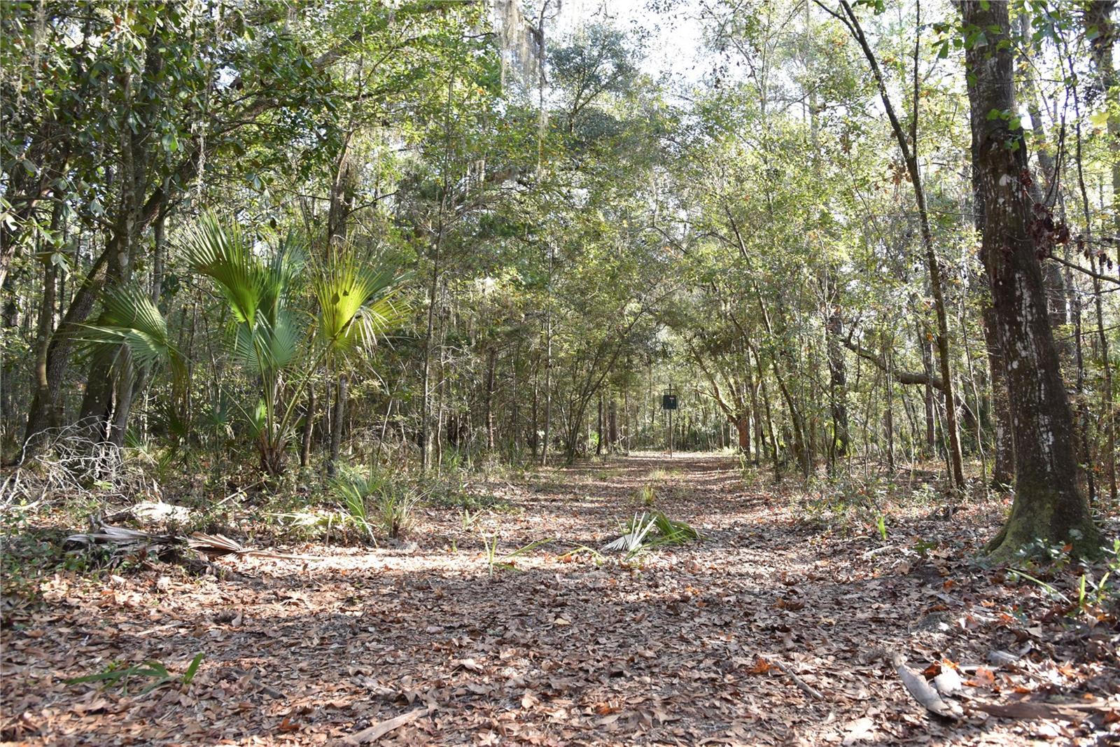 Image 39 of 57 For 81 Clouds Ave