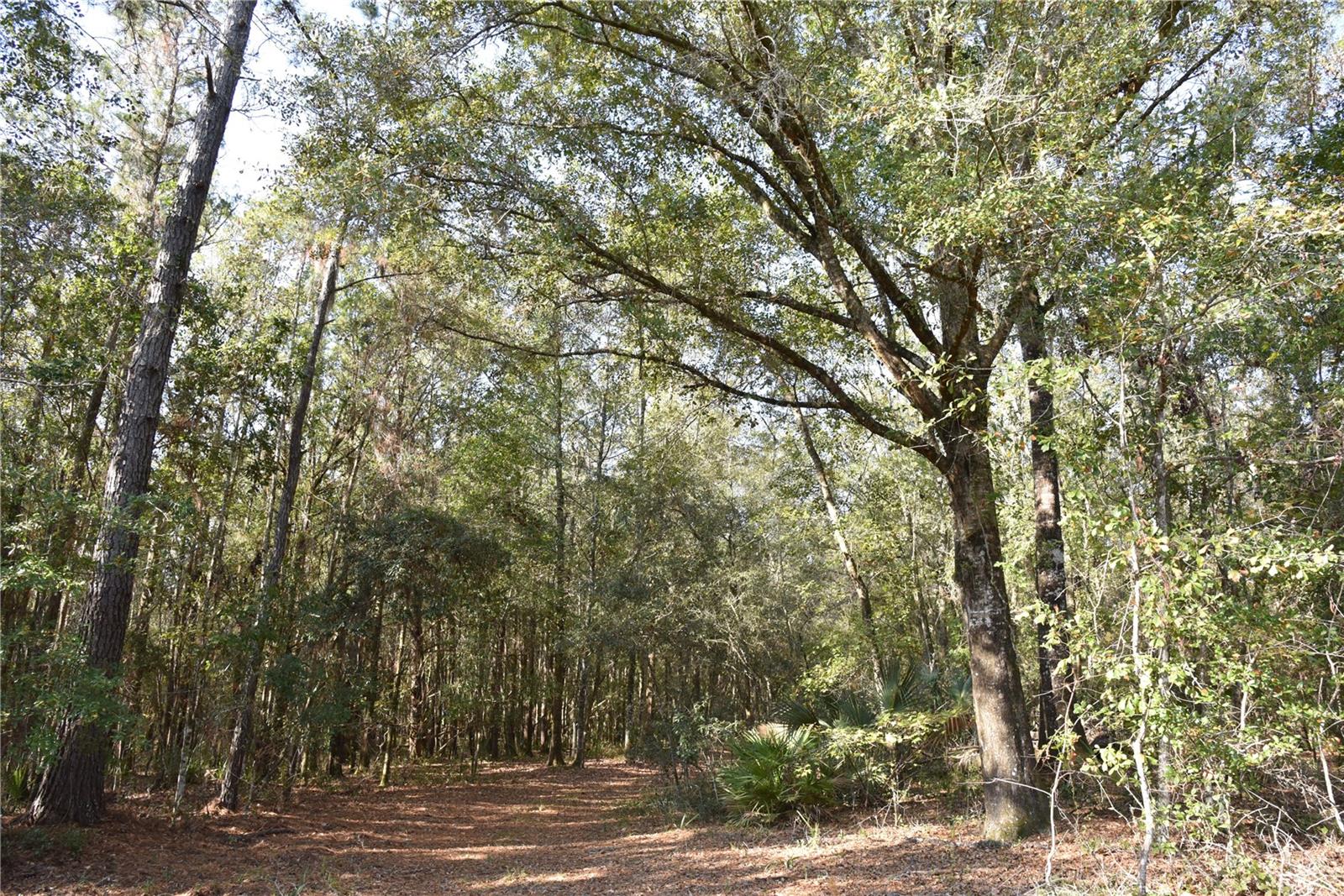 Image 4 of 57 For 81 Clouds Ave