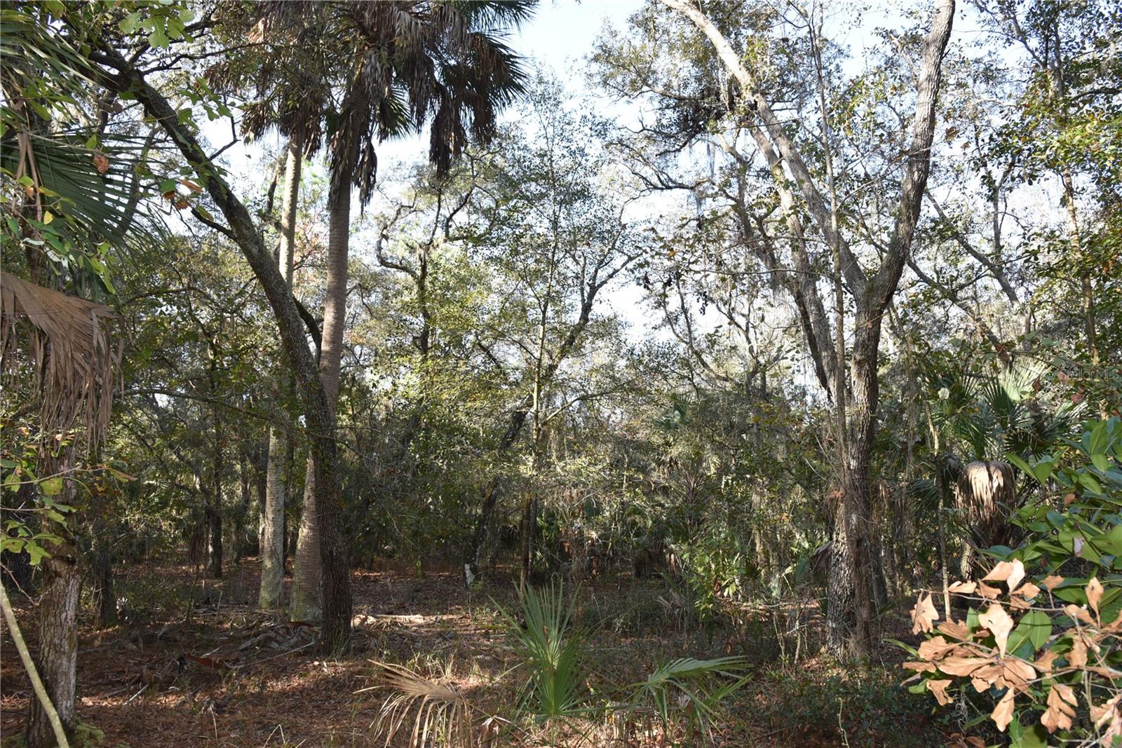 Image 40 of 57 For 81 Clouds Ave