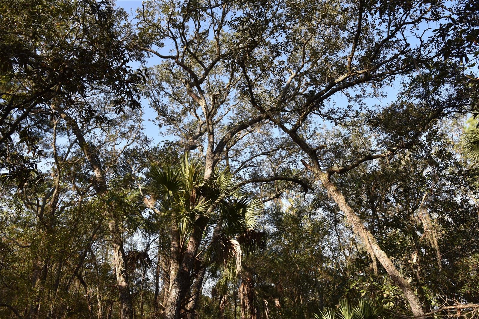 Image 41 of 57 For 81 Clouds Ave