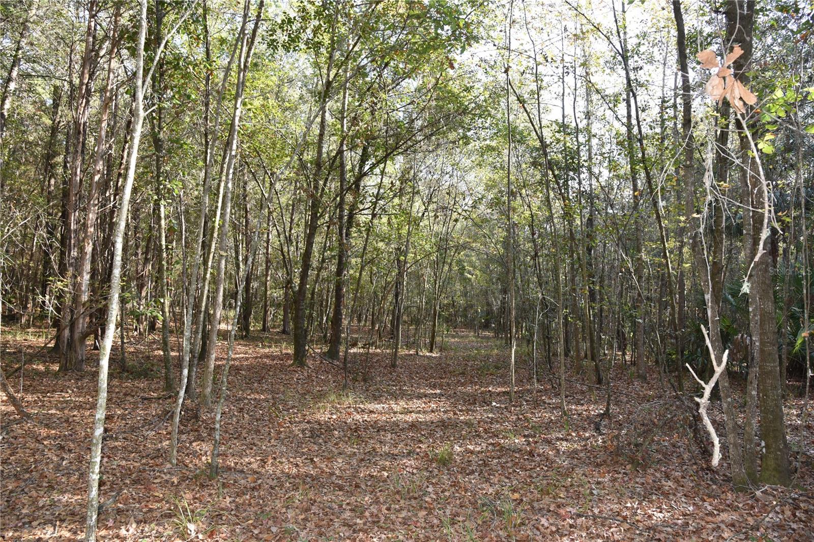 Image 42 of 57 For 81 Clouds Ave