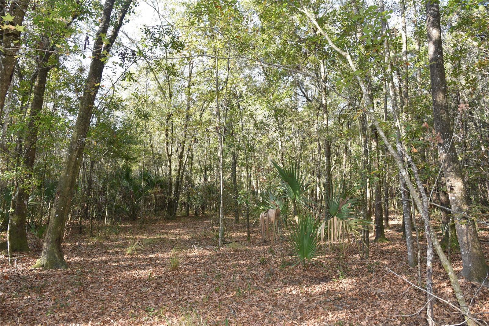 Image 43 of 57 For 81 Clouds Ave