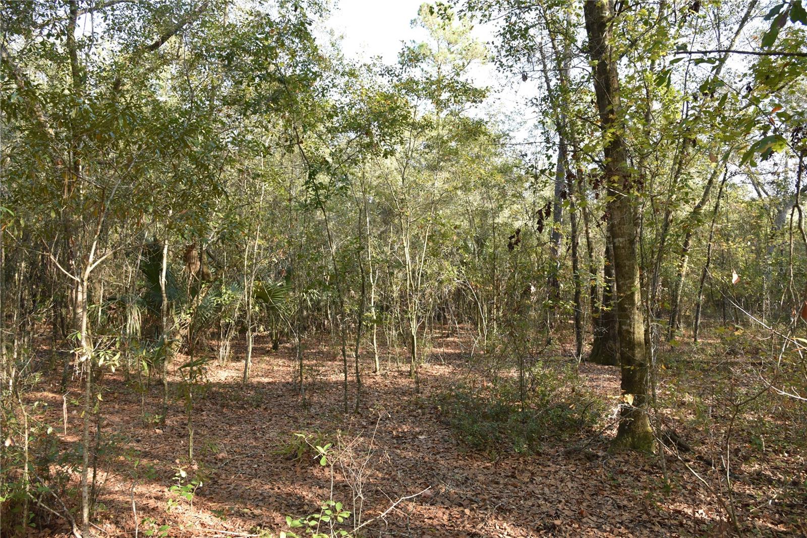 Image 44 of 57 For 81 Clouds Ave