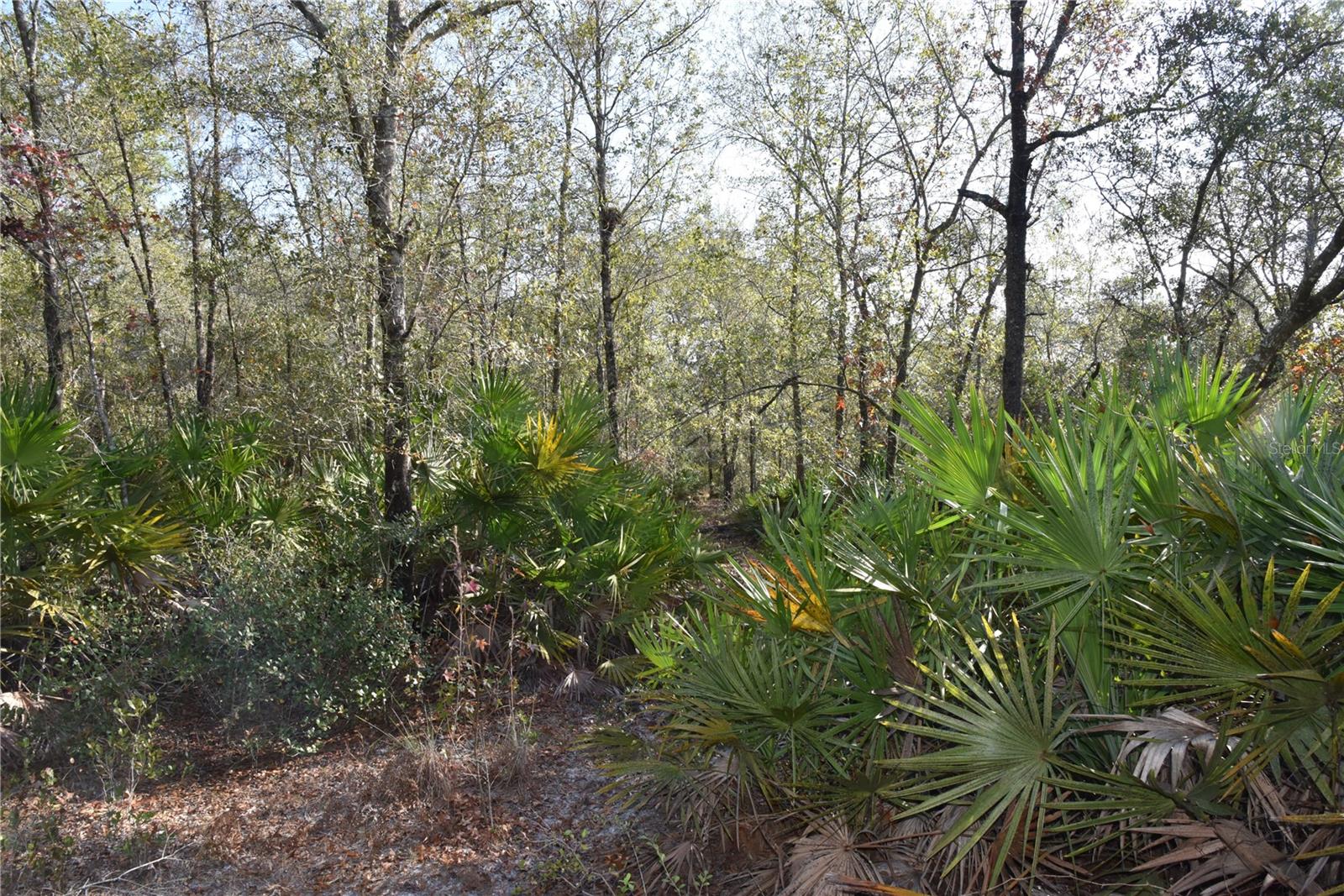 Image 45 of 57 For 81 Clouds Ave