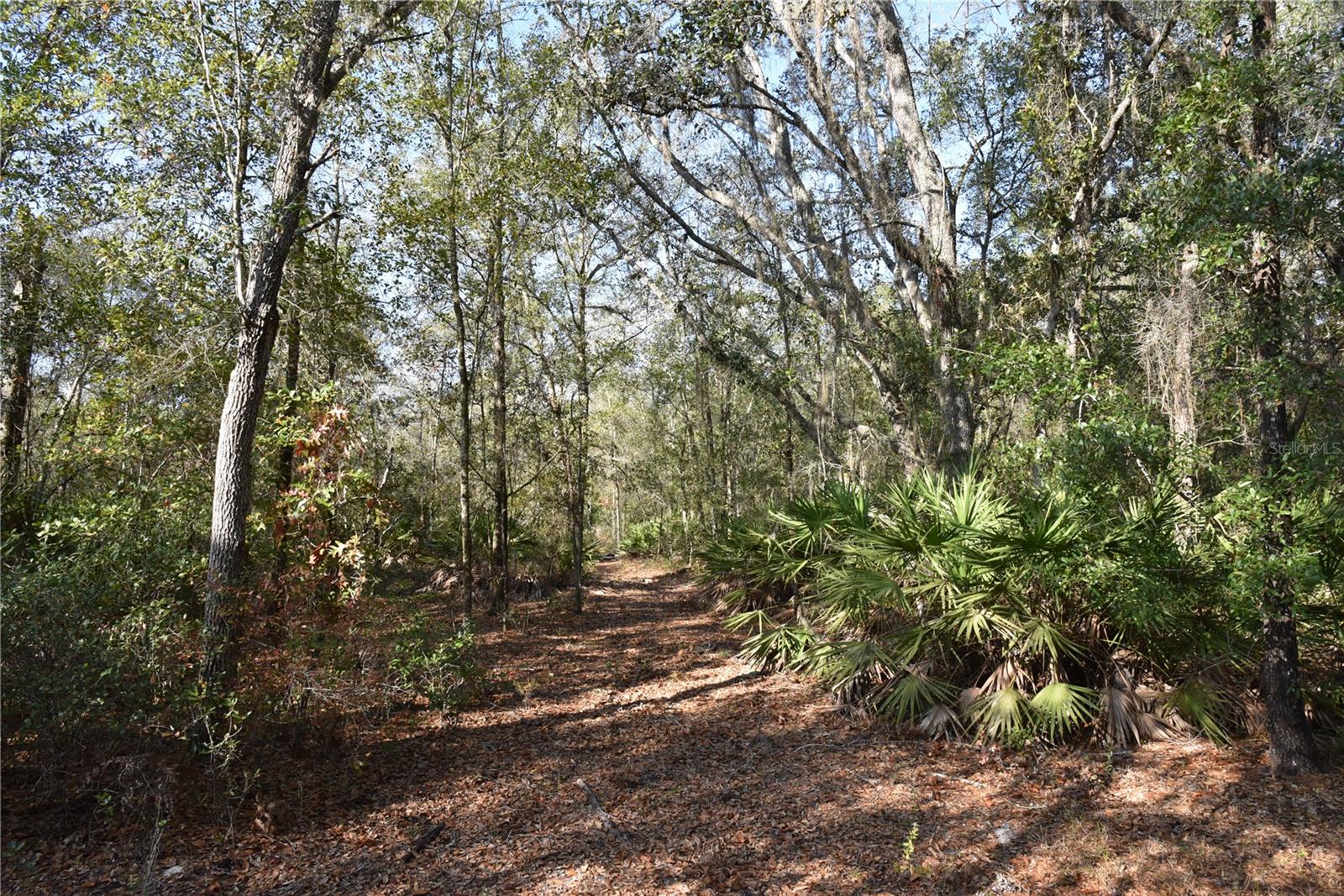 Image 46 of 57 For 81 Clouds Ave