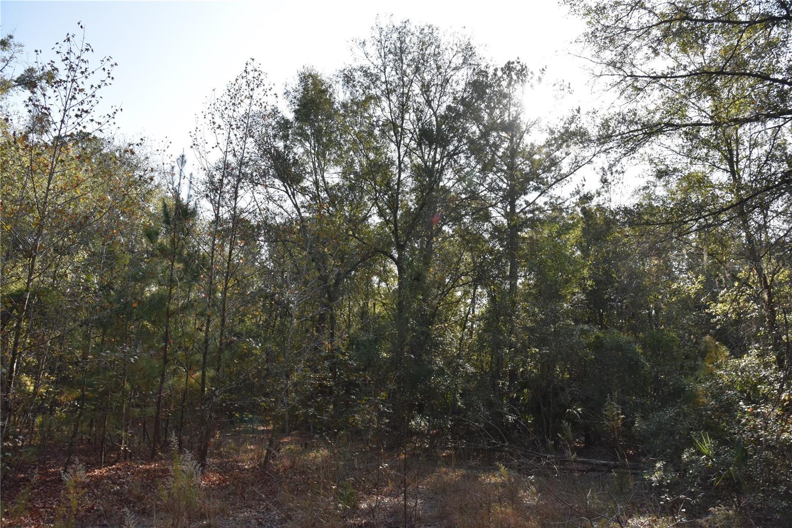 Image 47 of 57 For 81 Clouds Ave