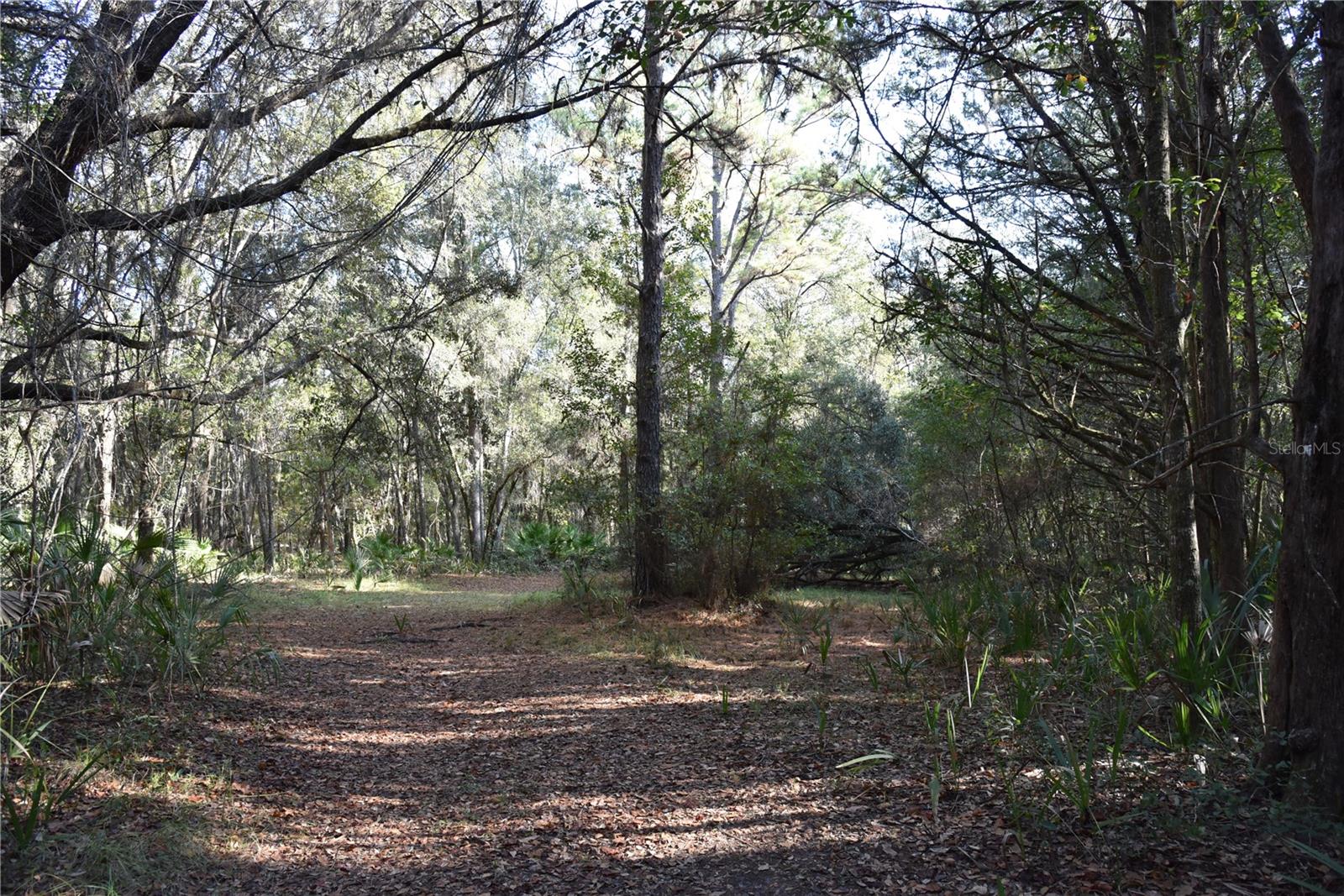 Image 48 of 57 For 81 Clouds Ave