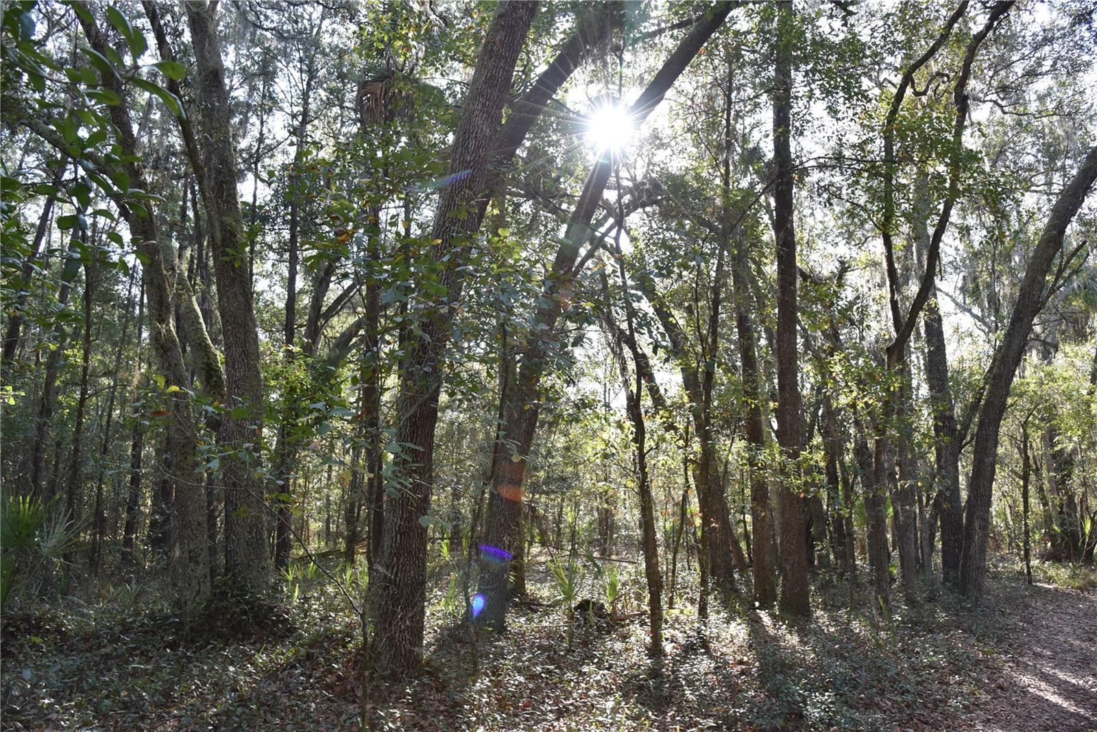 Image 49 of 57 For 81 Clouds Ave