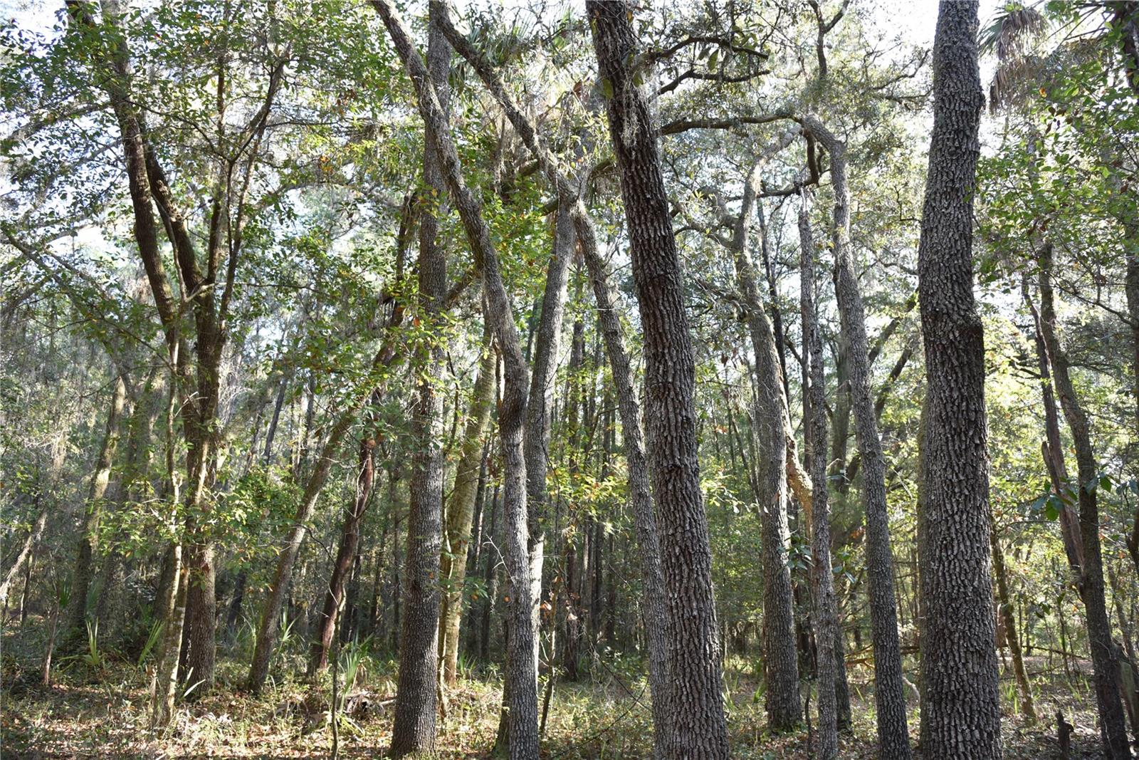 Image 50 of 57 For 81 Clouds Ave