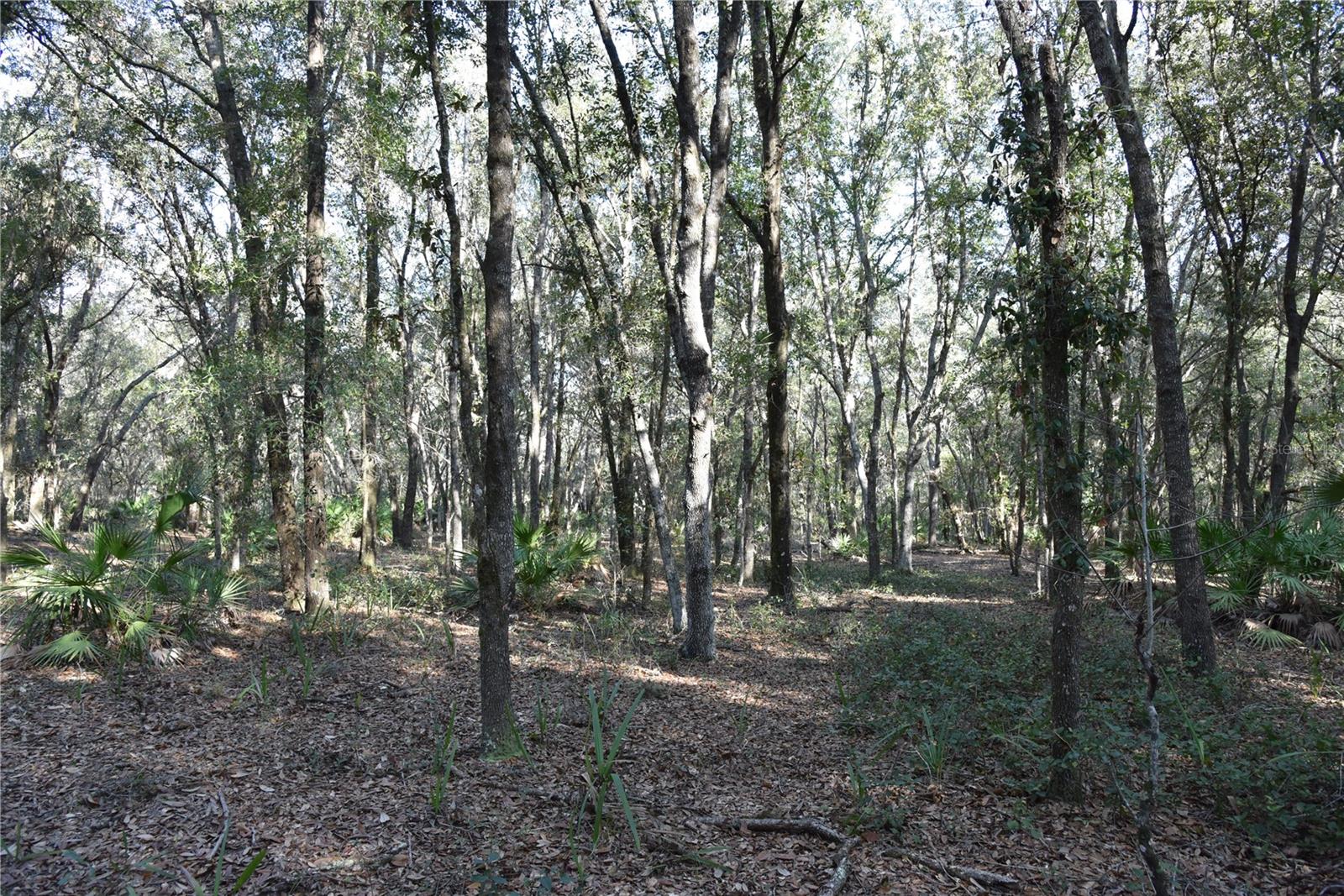 Image 52 of 57 For 81 Clouds Ave