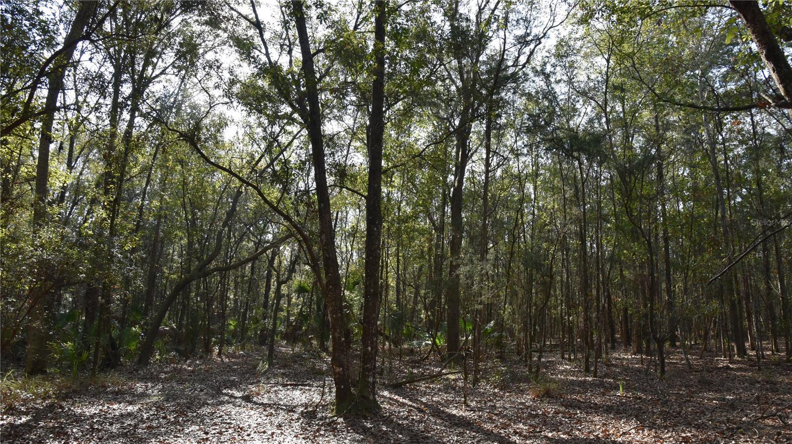 Image 53 of 57 For 81 Clouds Ave