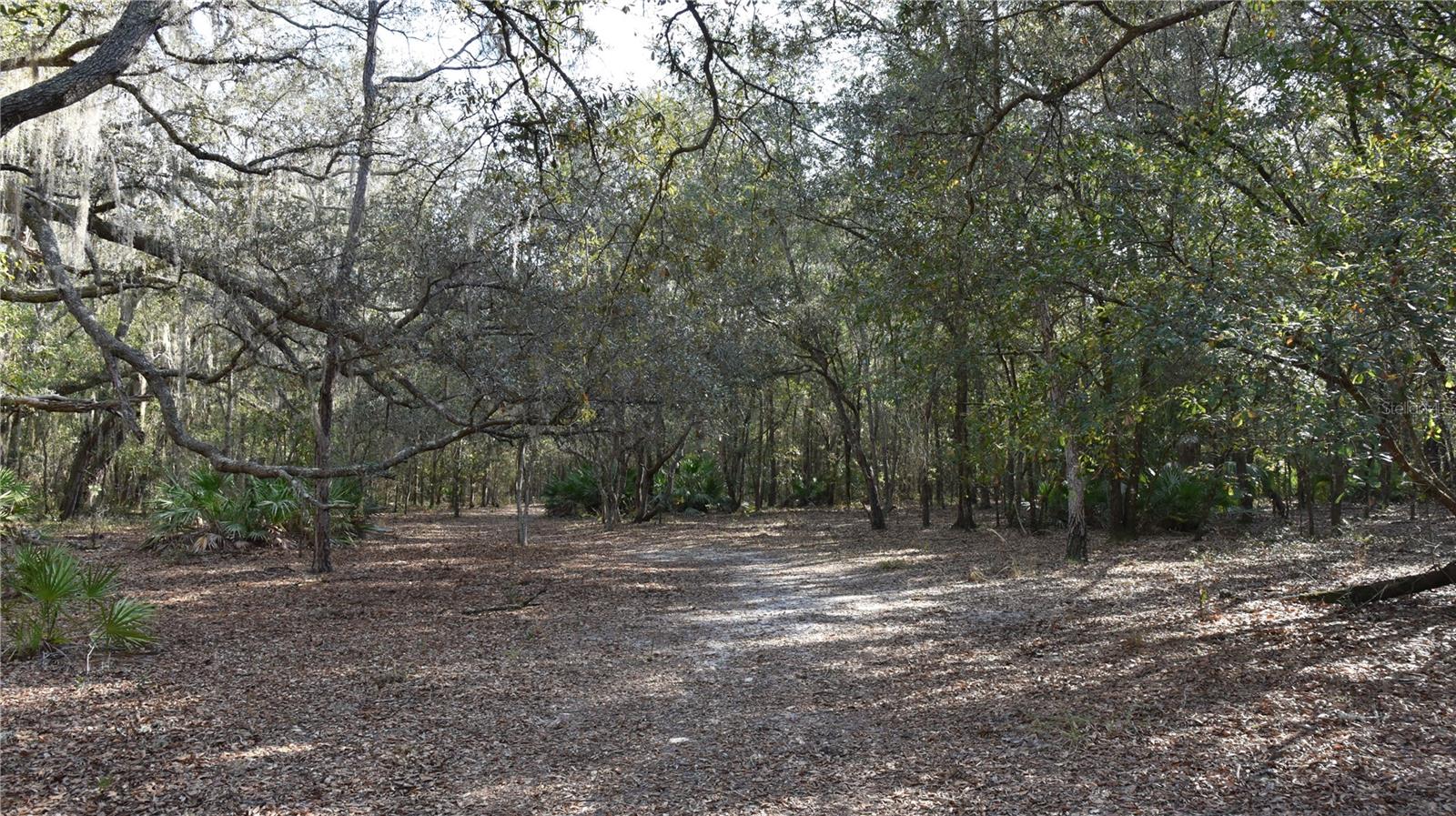 Image 56 of 57 For 81 Clouds Ave