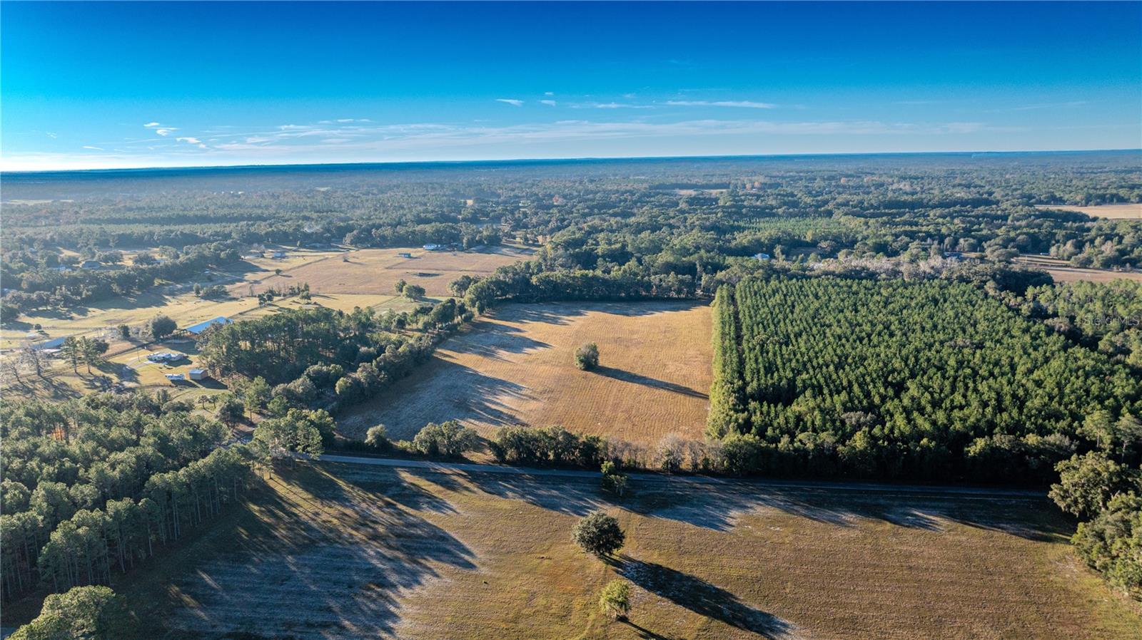 Details for 00 180th St , WILLISTON, FL 32696