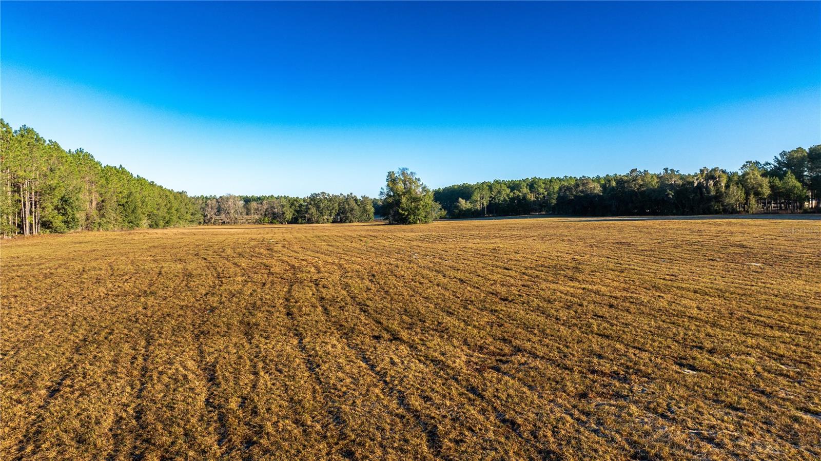 Image 3 of 12 For 00 180th St  