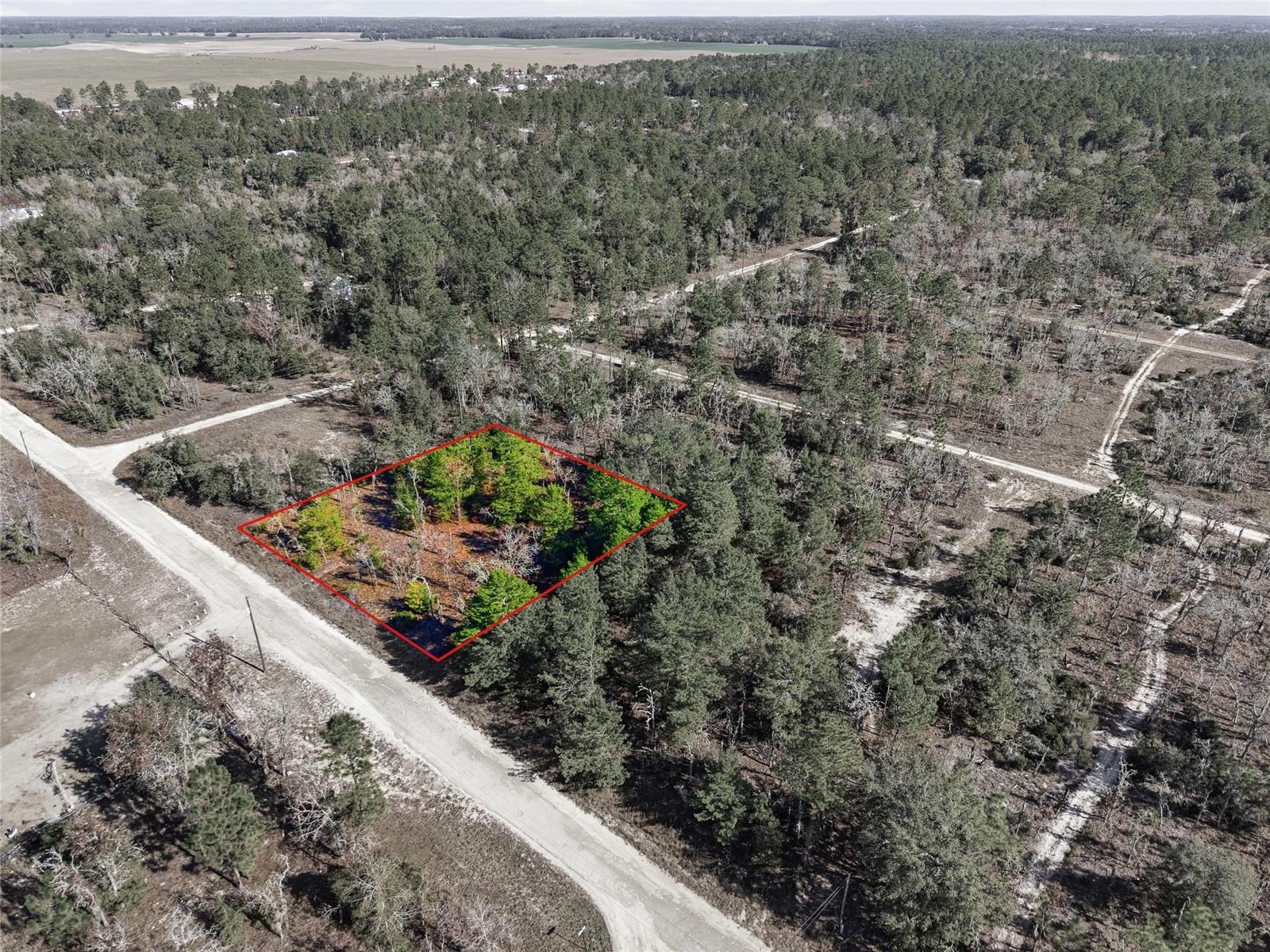 Details for 00 150th Ave, WILLISTON, FL 32696