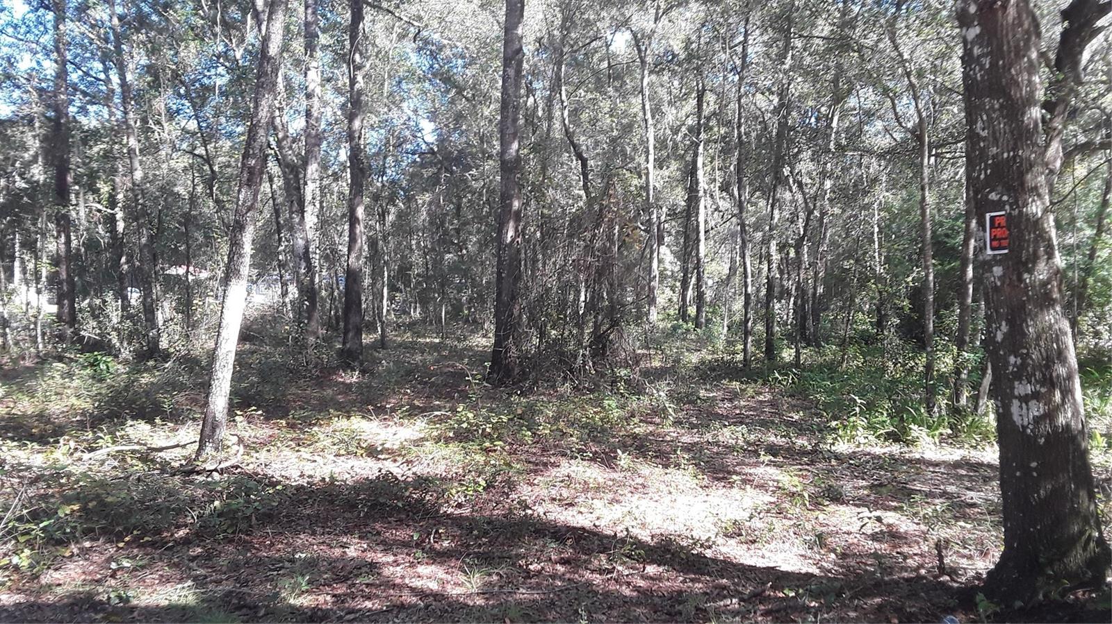 Listing Details for  202 Avenue , DUNNELLON, FL 34431