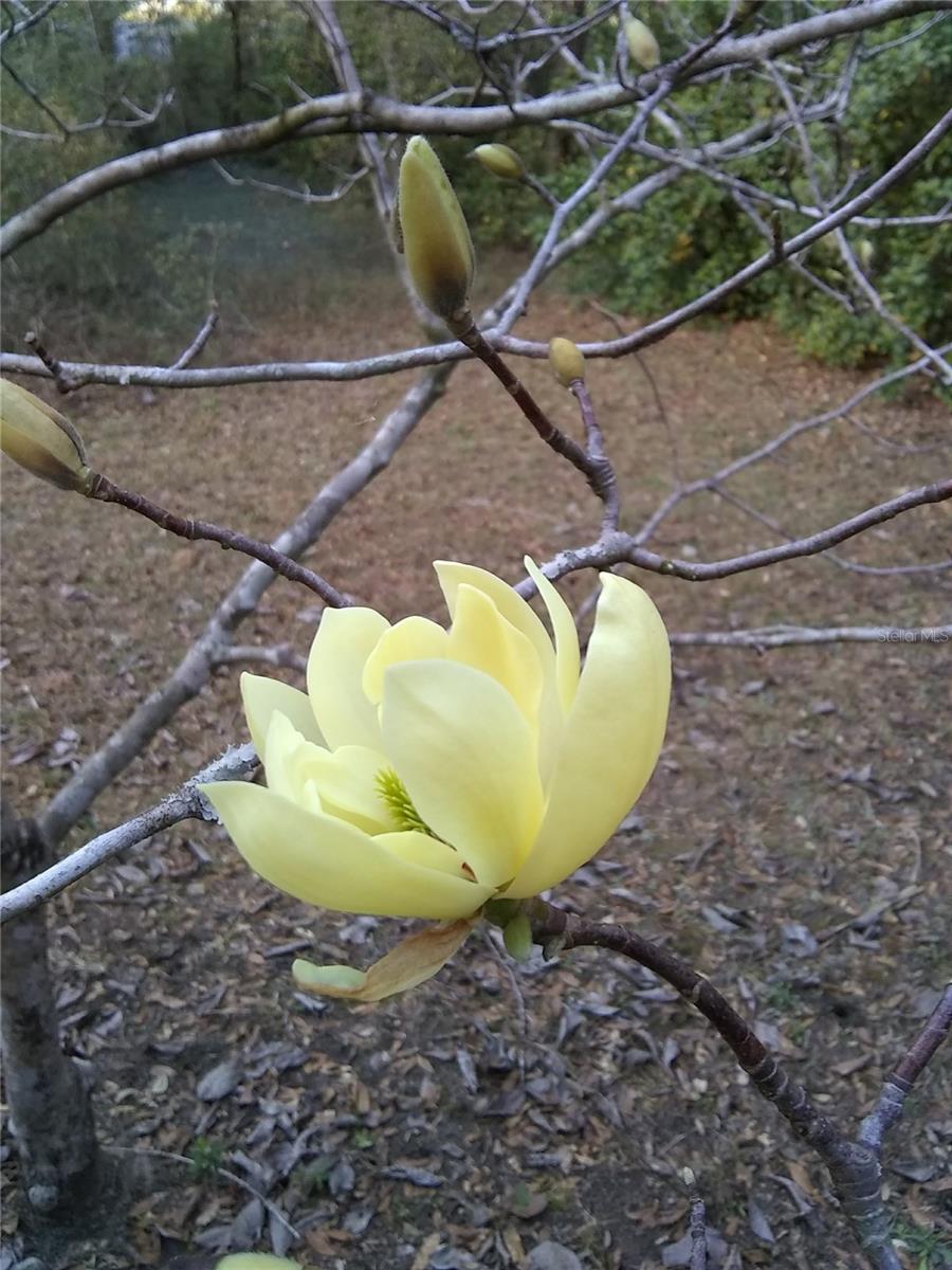 Image 6 of 6 For 00 Marine Boulevard