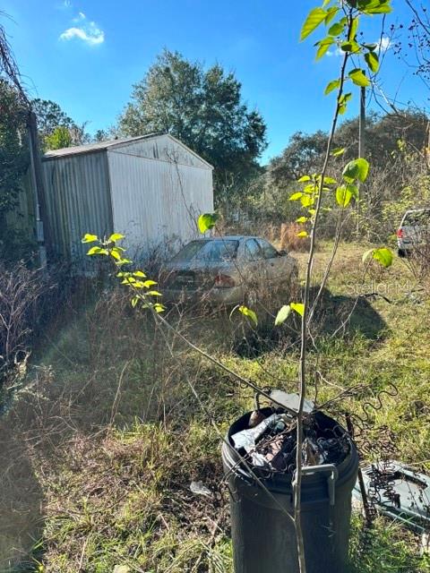 Image 6 of 12 For 3533 59th Terrace