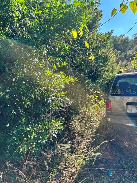 Image 7 of 12 For 3533 59th Terrace