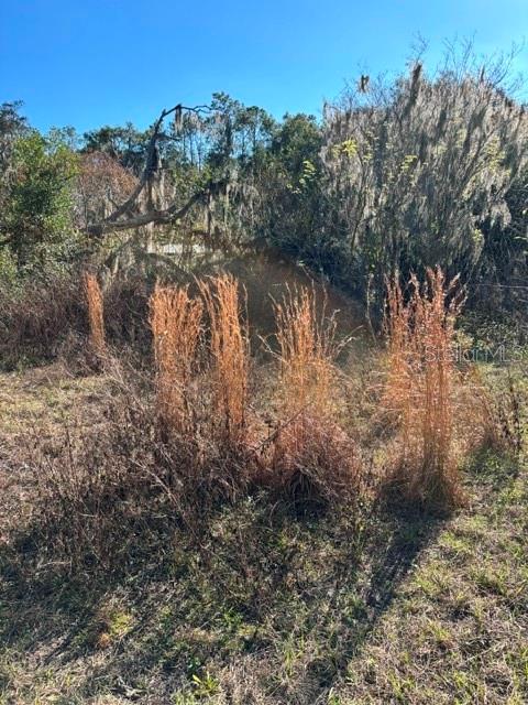Image 8 of 12 For 3533 59th Terrace