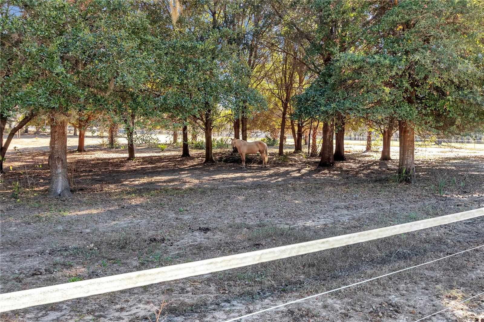 Image 28 of 49 For 11375 Circle M Avenue