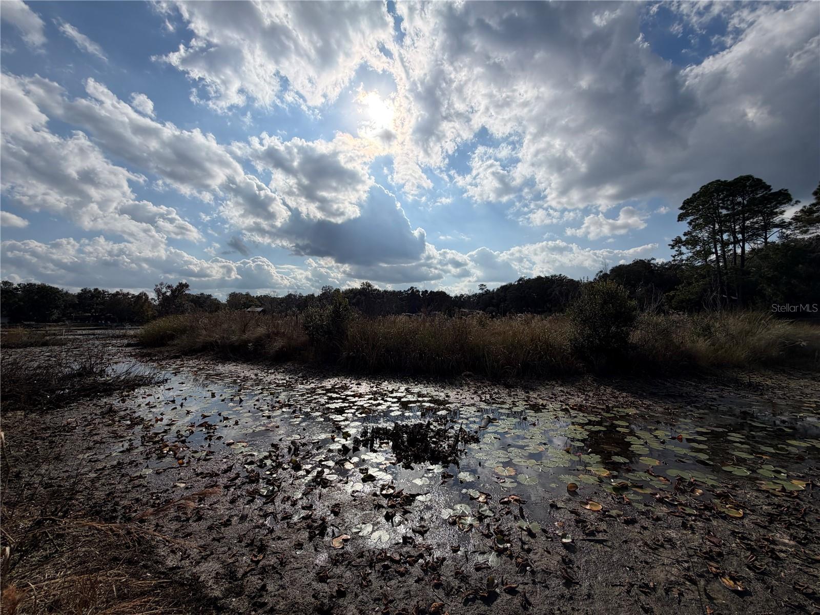 Image 12 of 18 For Tbd 152nd Lane