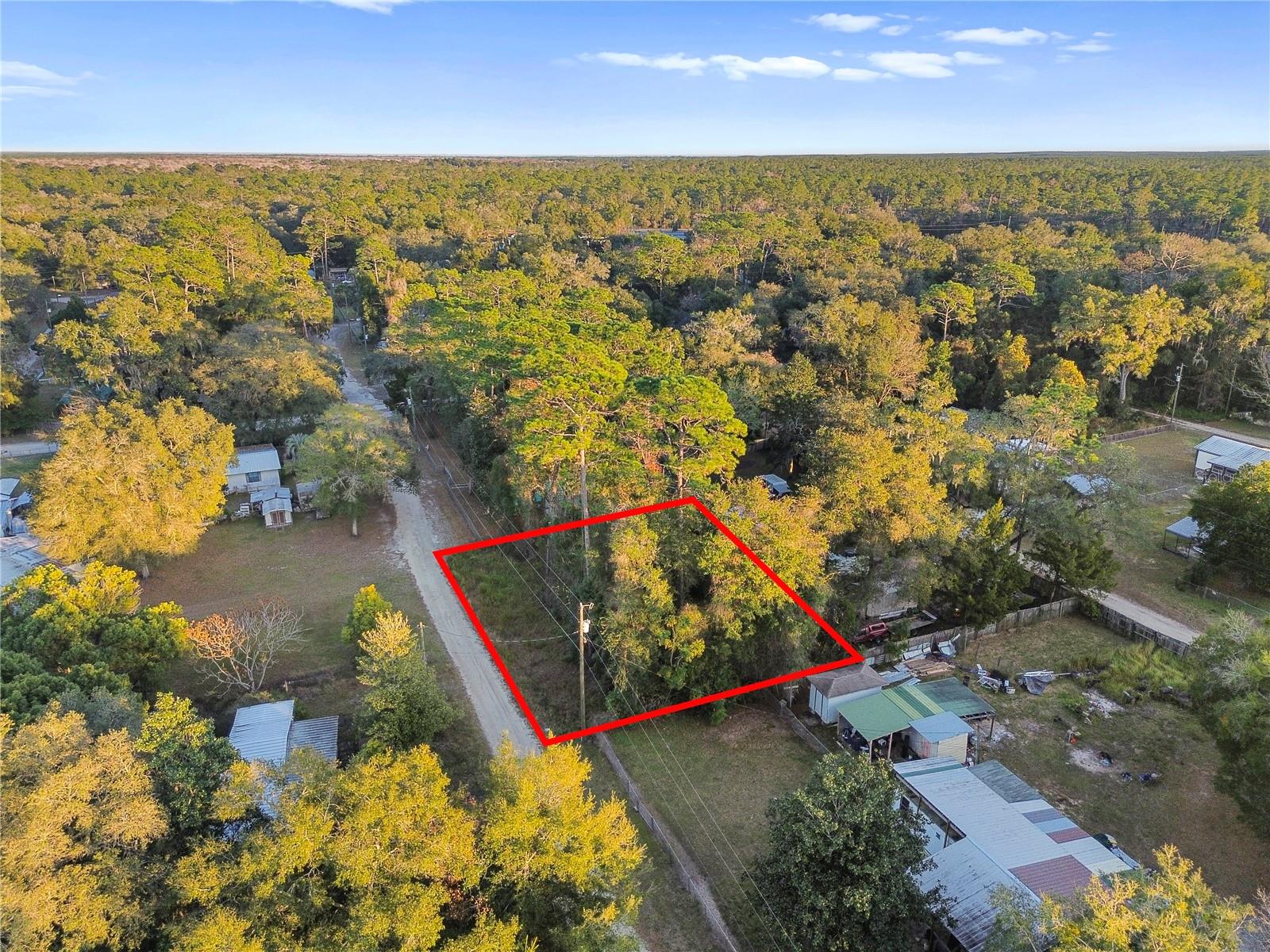 Details for 000 131st Lane, SALT SPRINGS, FL 32134