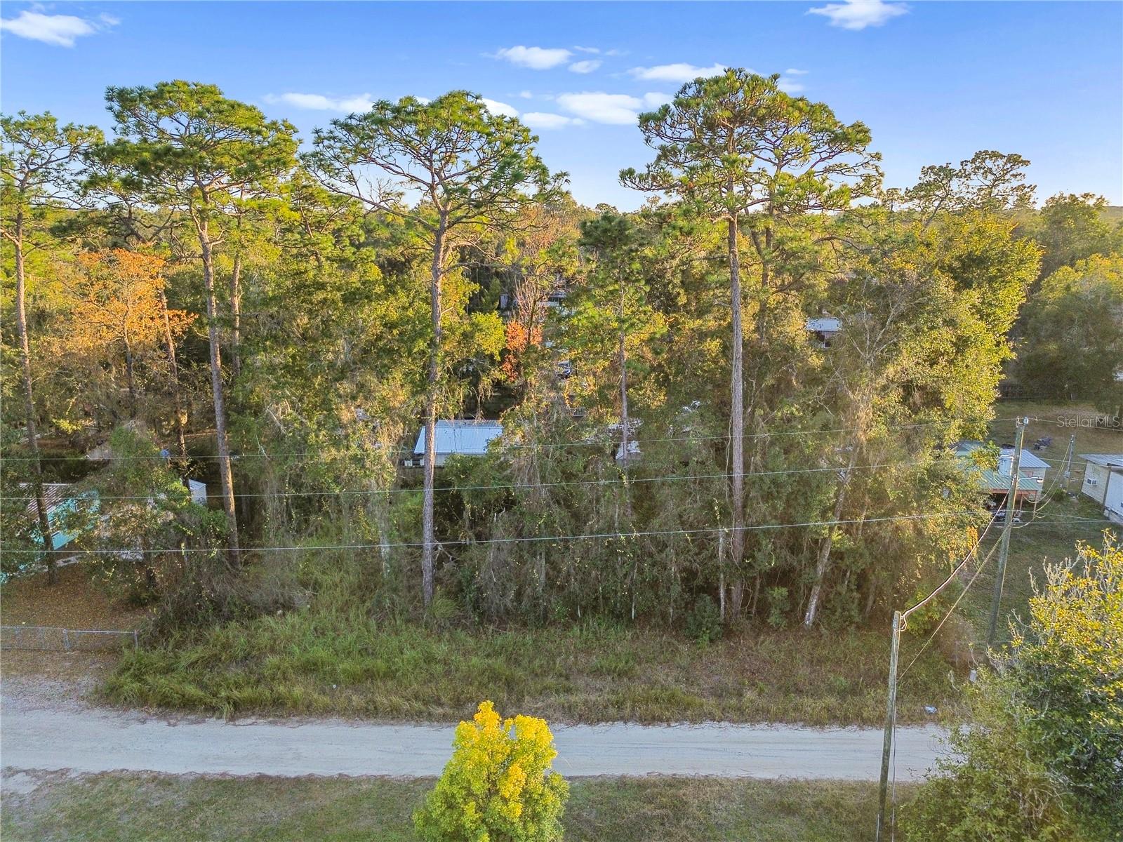 Image 11 of 17 For 000 131st Lane