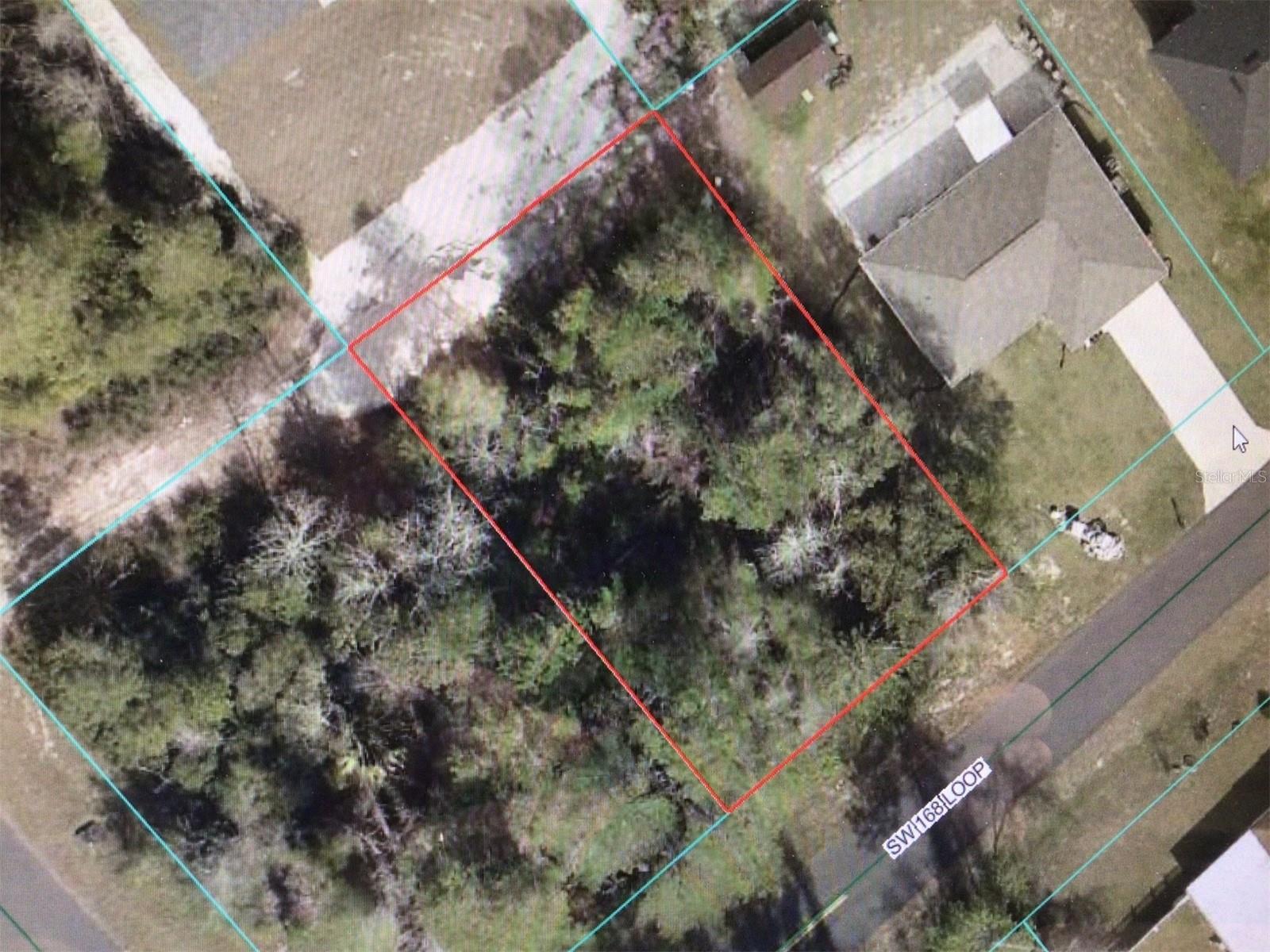 Details for 0 168 Loop , OCALA, FL 34473