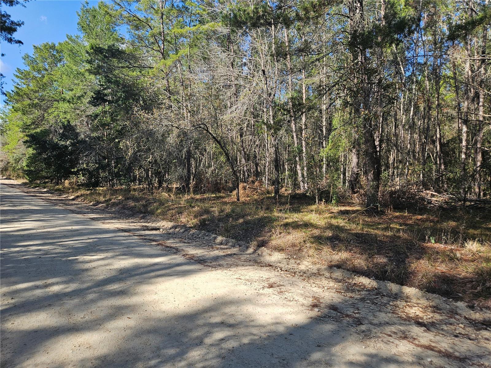 Image 5 of 7 For Tbd 8th Street