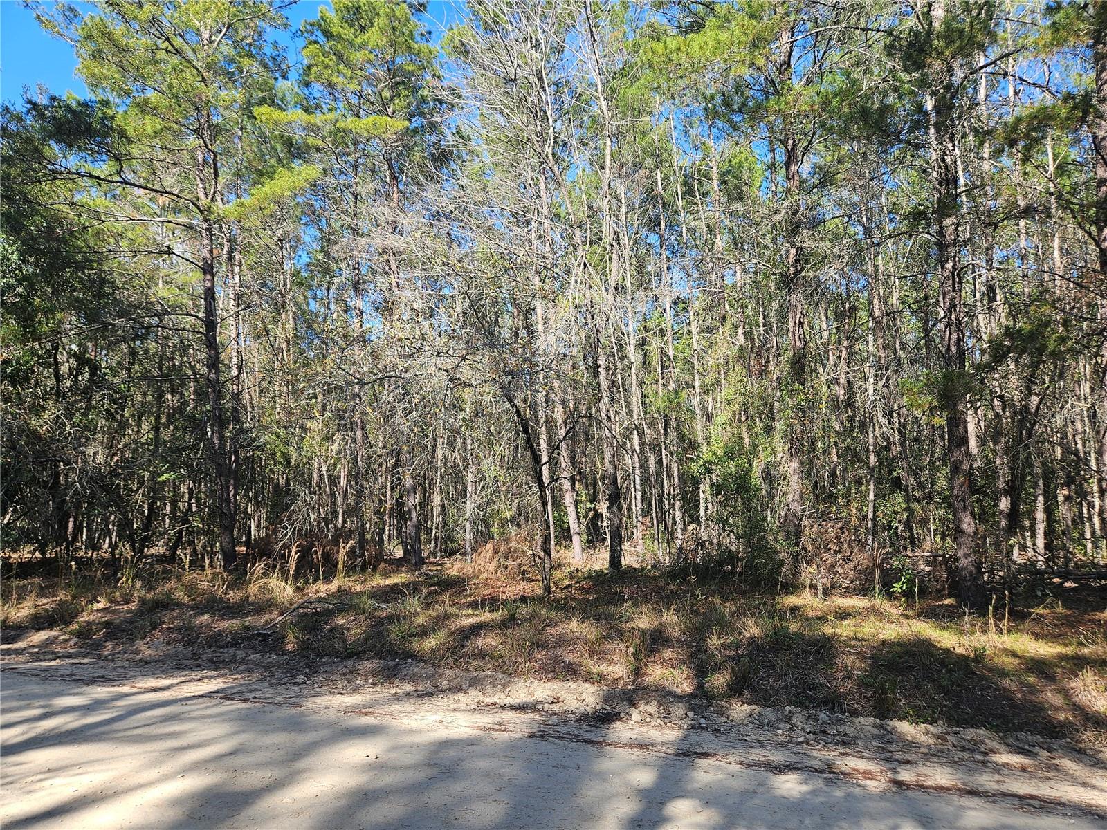 Image 6 of 7 For Tbd 8th Street