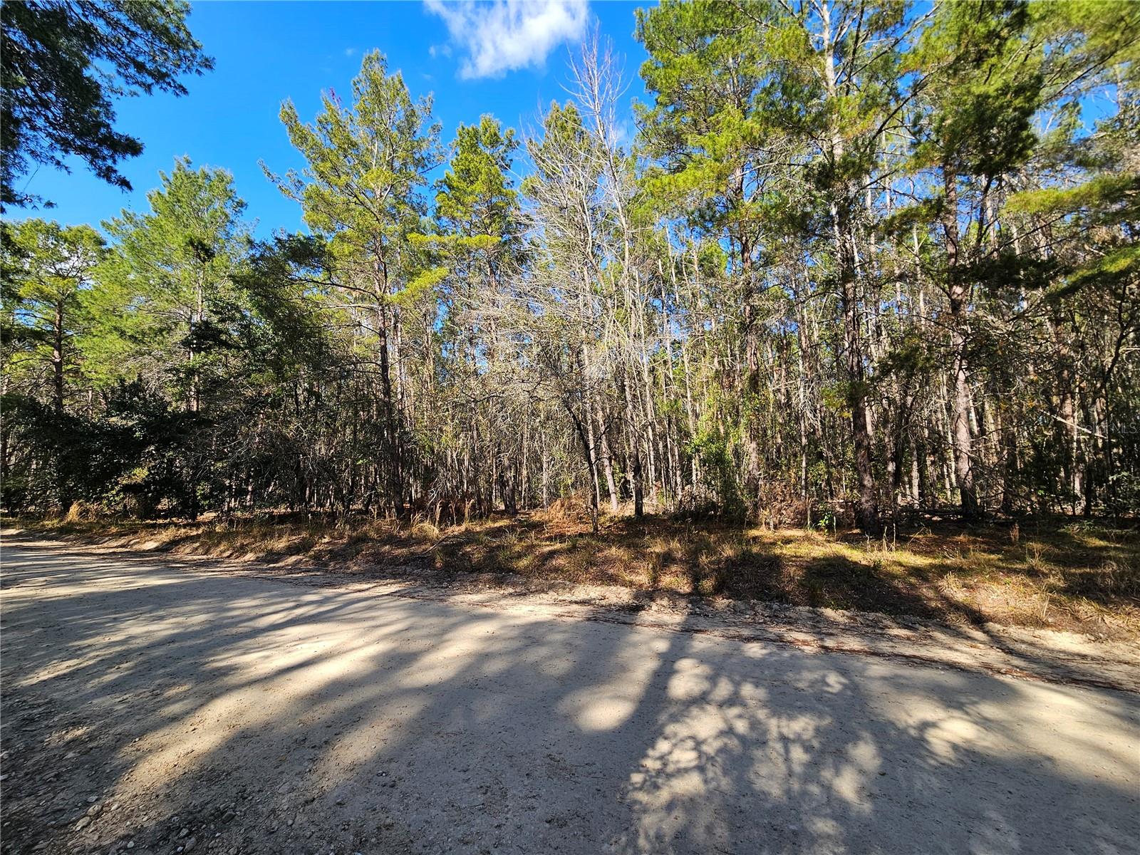 Image 7 of 7 For Tbd 8th Street