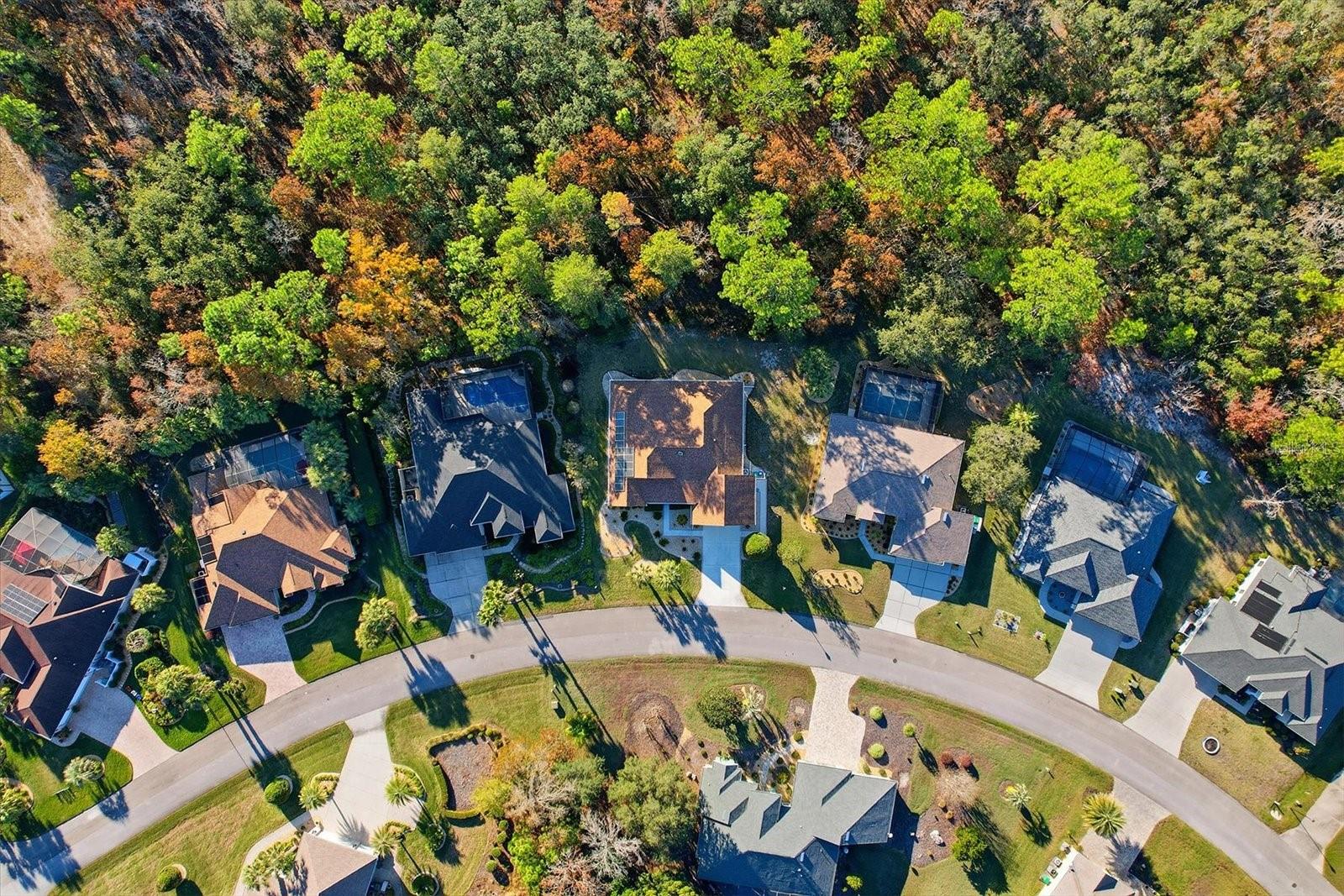 Image 40 of 42 For 7 Boston Ivy Court