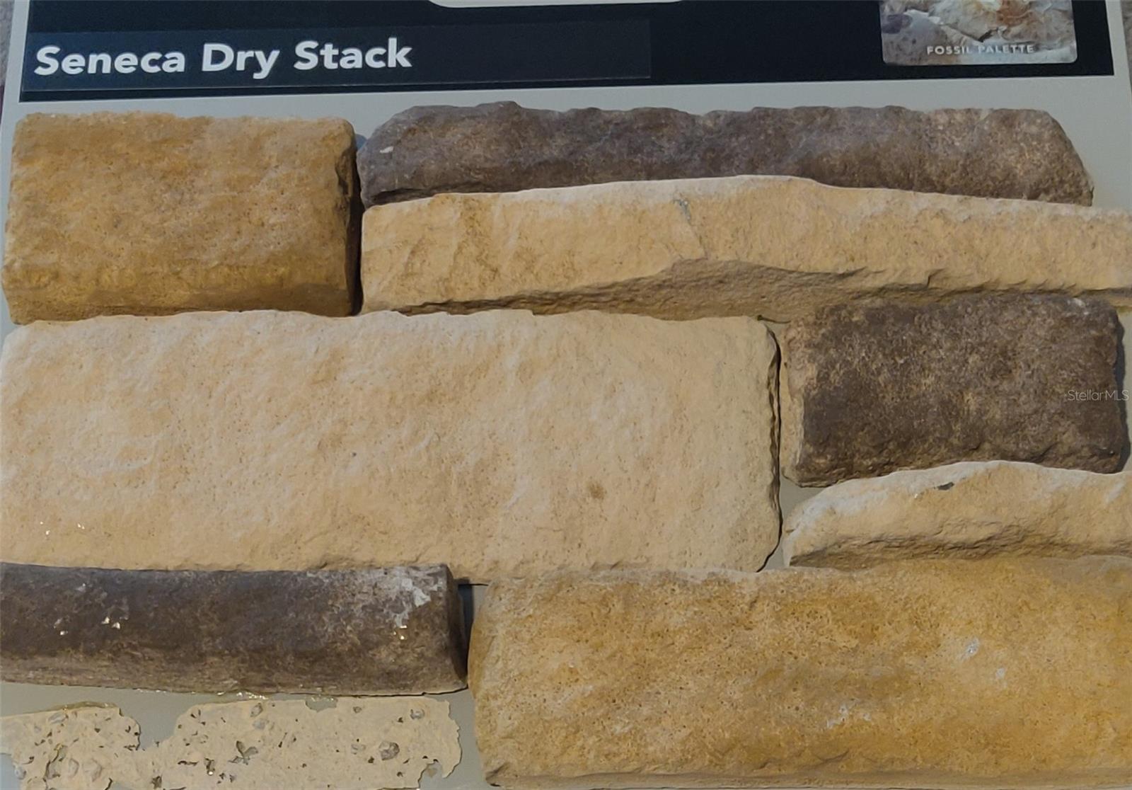 Image 5 of 8 For 5543 Ocean Breeze Drive