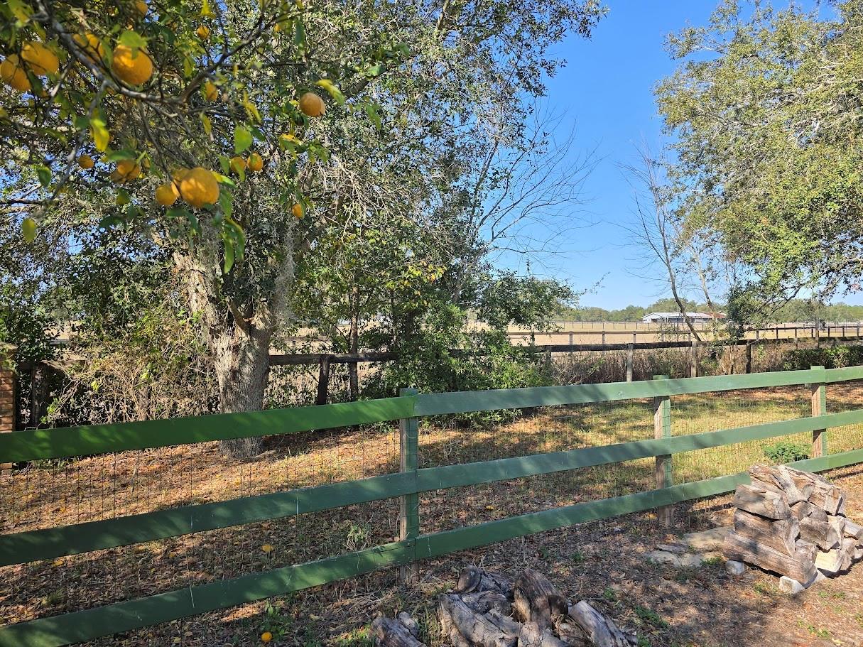 Image 74 of 95 For 6584 64th Avenue