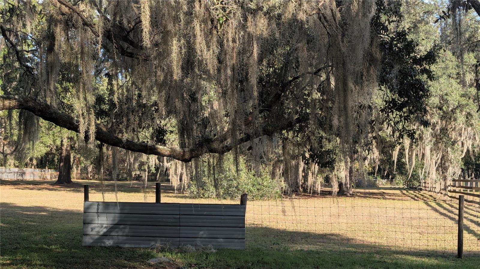 Image 33 of 66 For 9350 170th Avenue Road