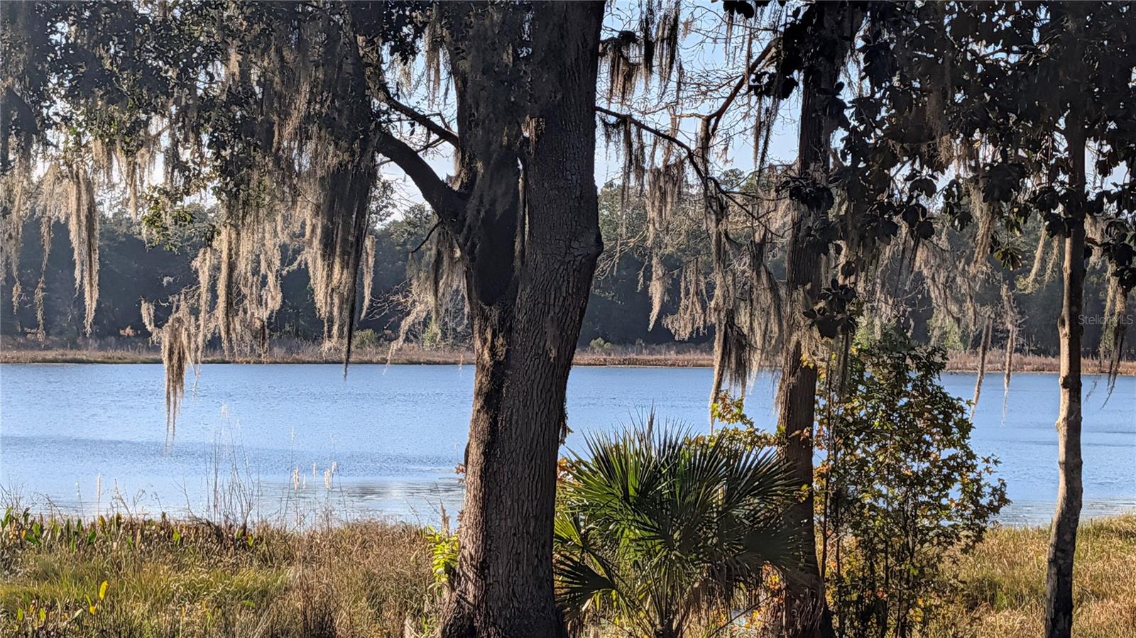 Image 40 of 66 For 9350 170th Avenue Road