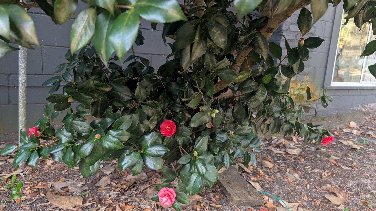 Image 52 of 66 For 9350 170th Avenue Road