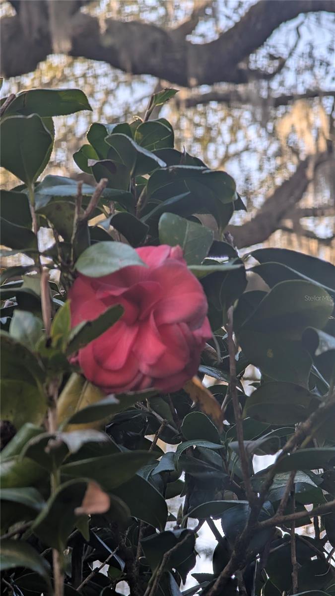 Image 53 of 66 For 9350 170th Avenue Road