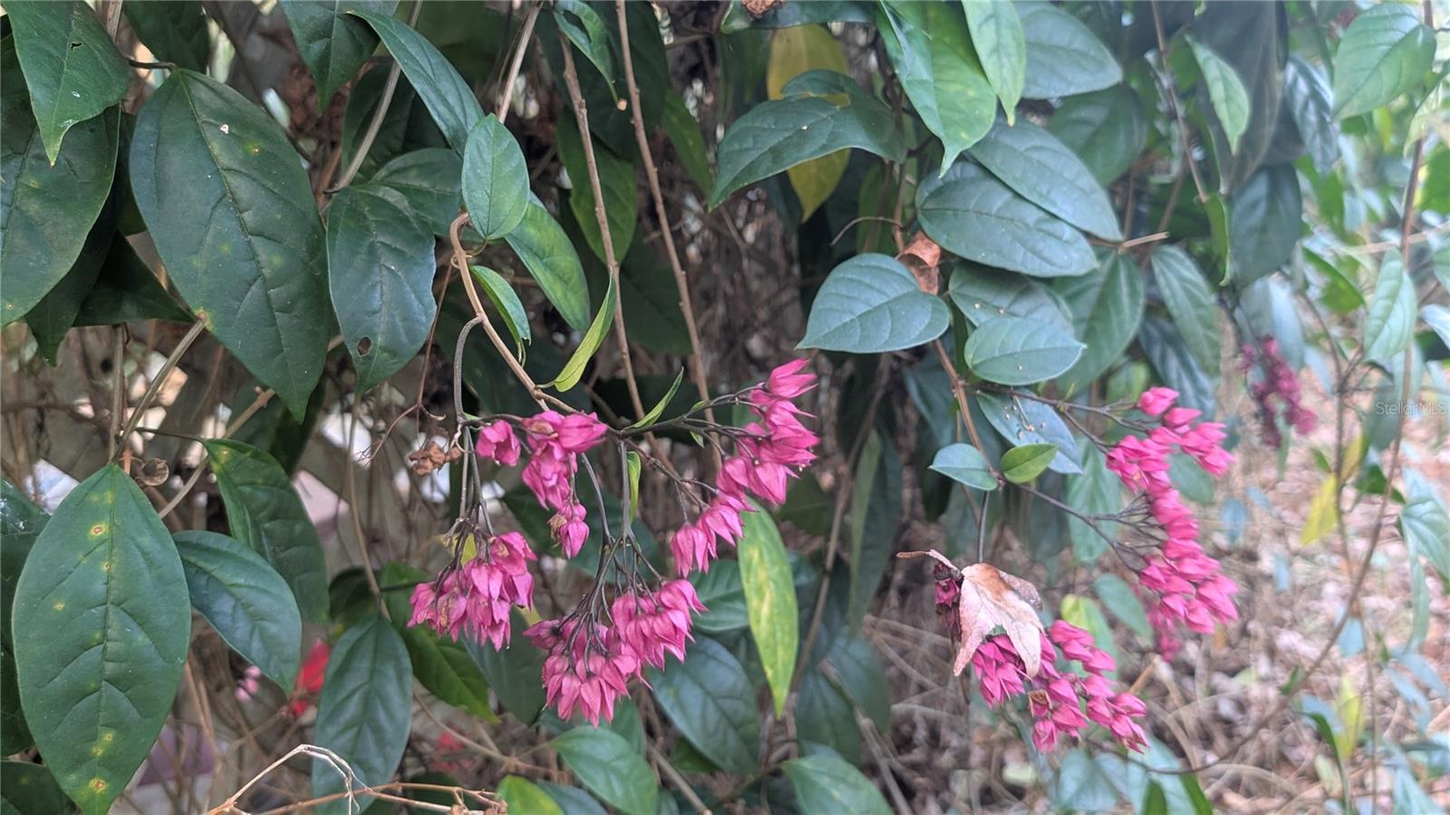 Image 55 of 66 For 9350 170th Avenue Road