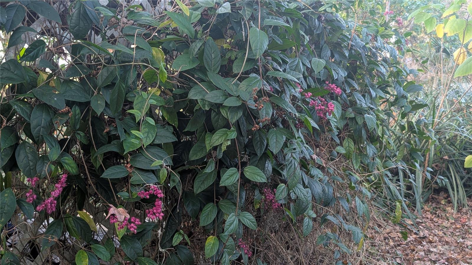 Image 56 of 66 For 9350 170th Avenue Road